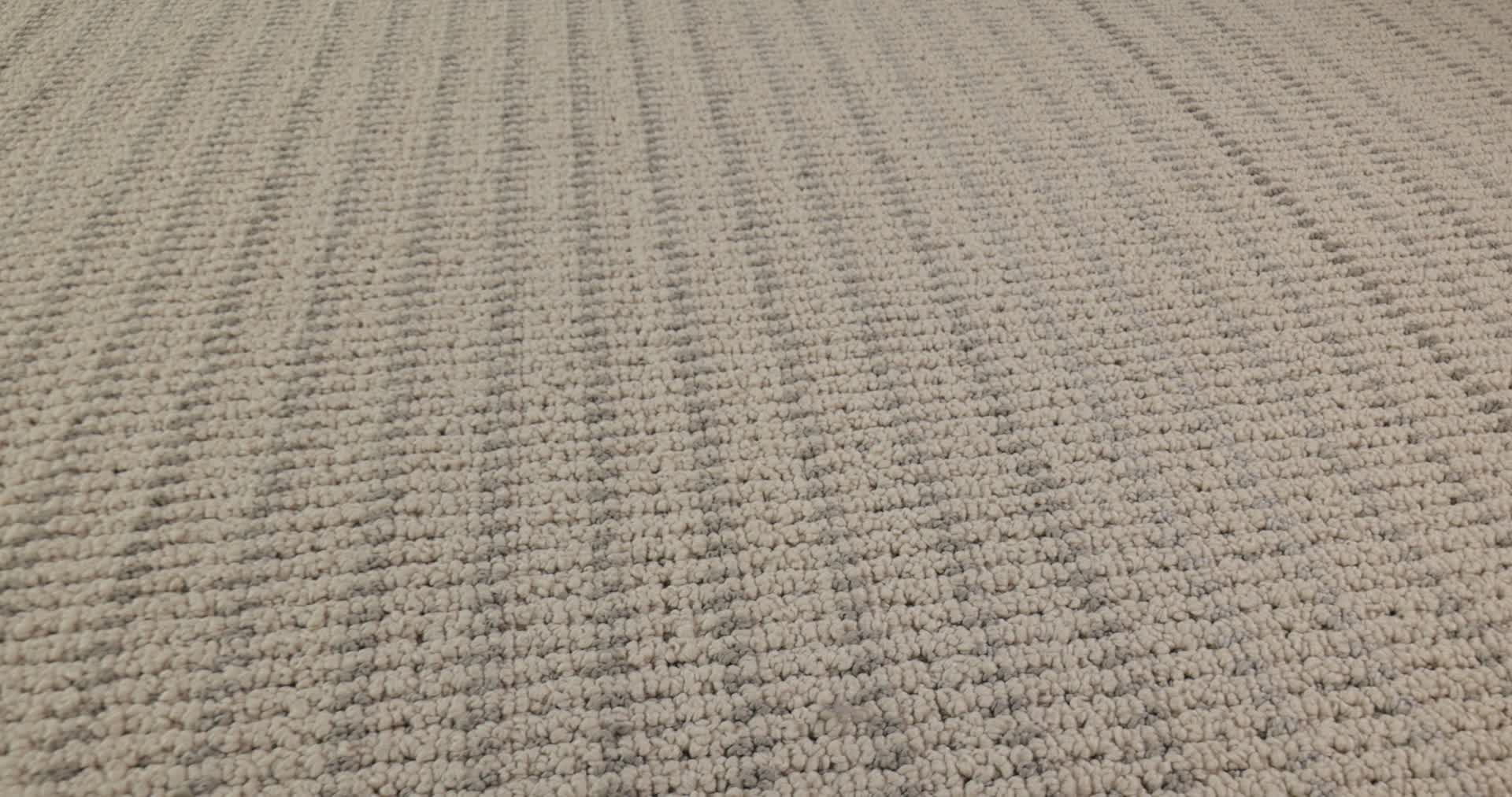 LAKEN PALMETTO 360PROD