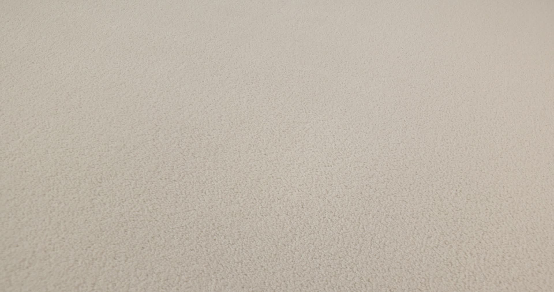 PERFECT CHOICE FRENCH WHITE 360PROD