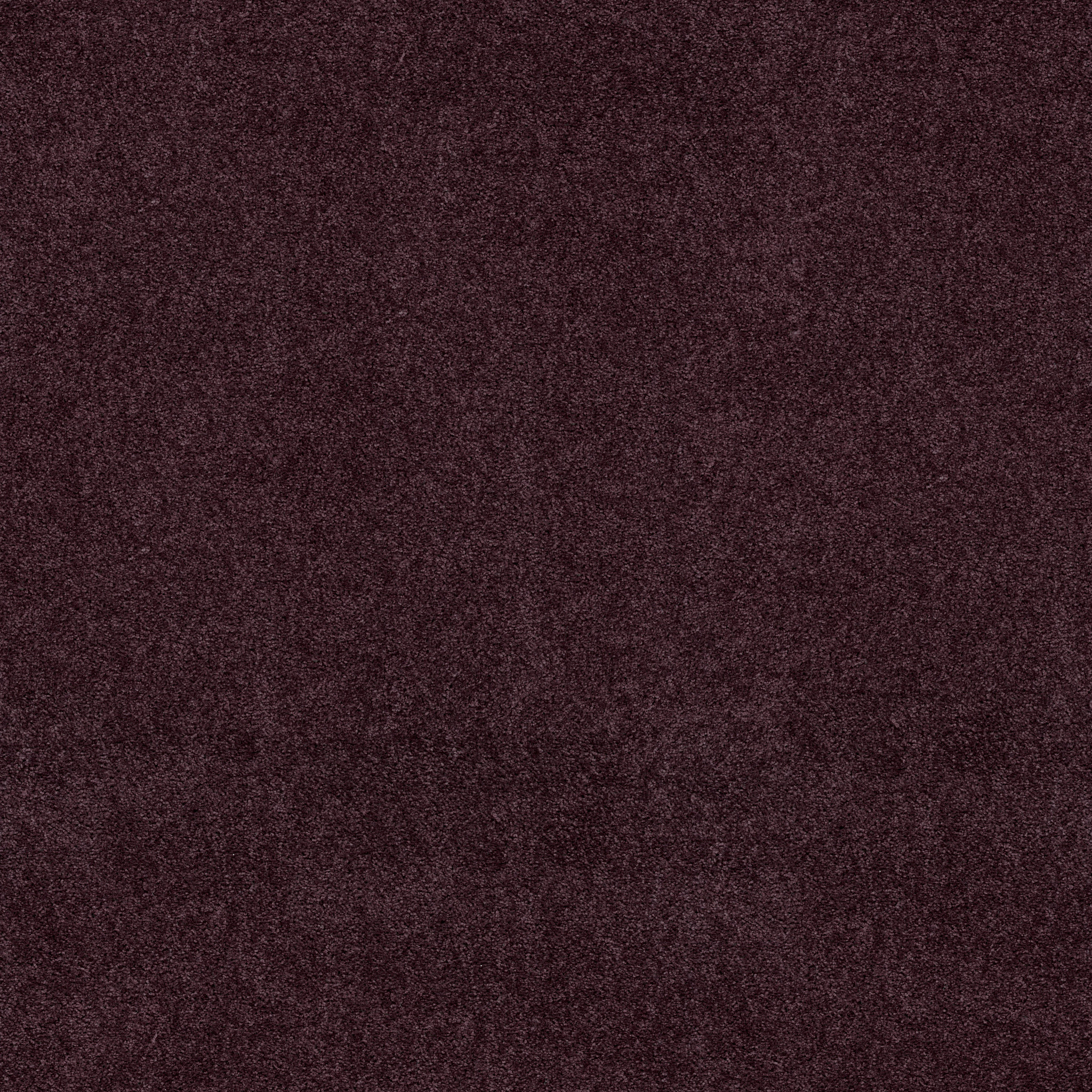 ELLENDALE 15' ROYAL PURPLE MAIN