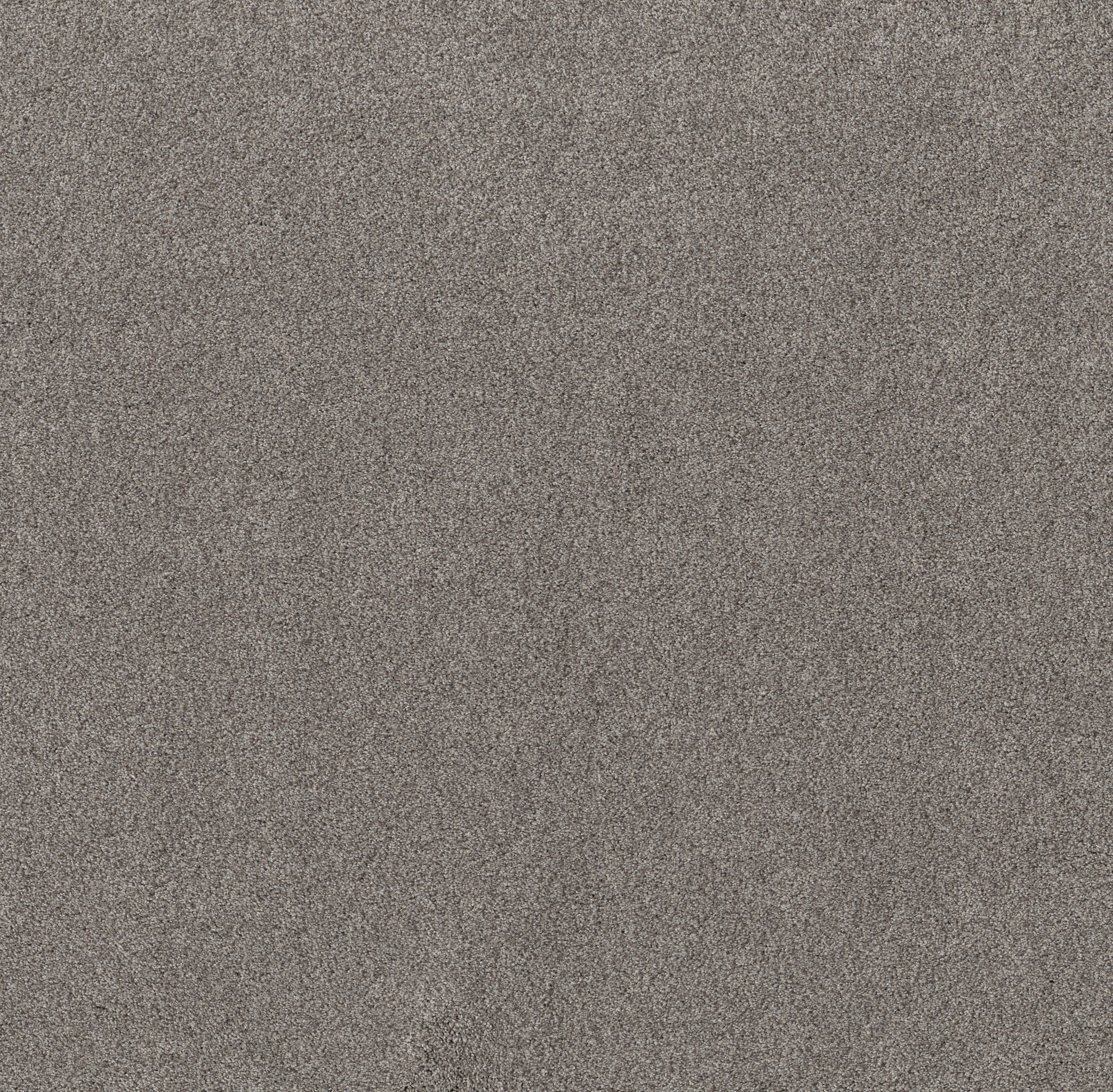 Live on Comfort CENTURY TAUPE MAIN