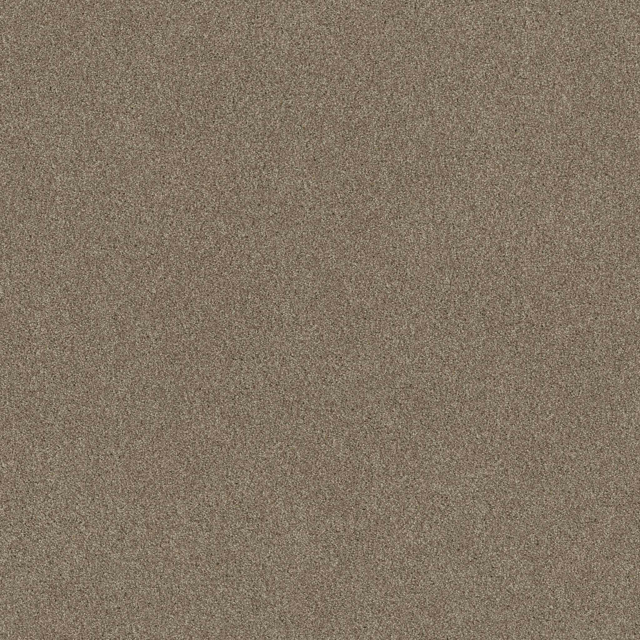 WHAT'S UP MOLE HILL MAIN