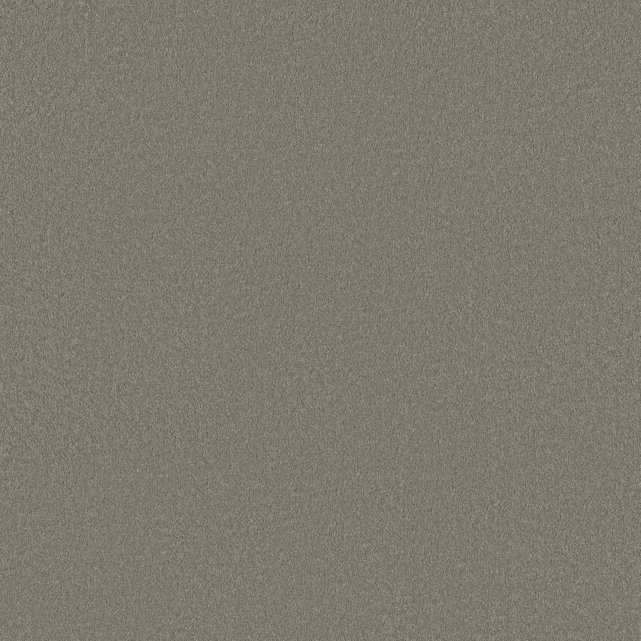 SMOOTH TONE DRIFTWOOD MAIN