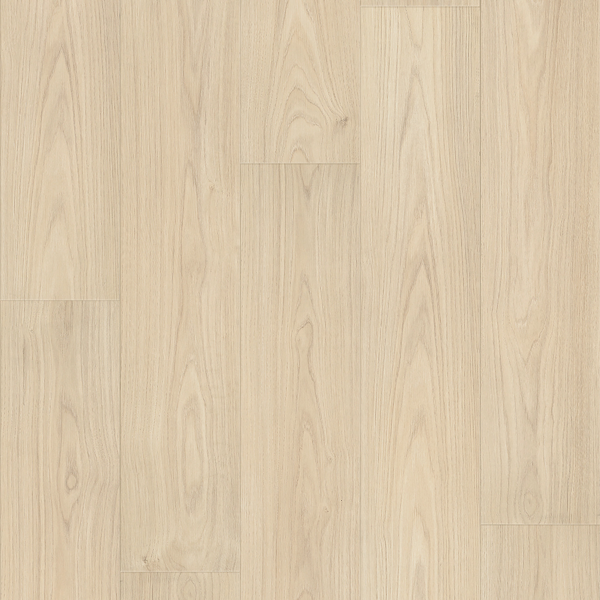 MAUNA HAIKU MAPLE MAIN