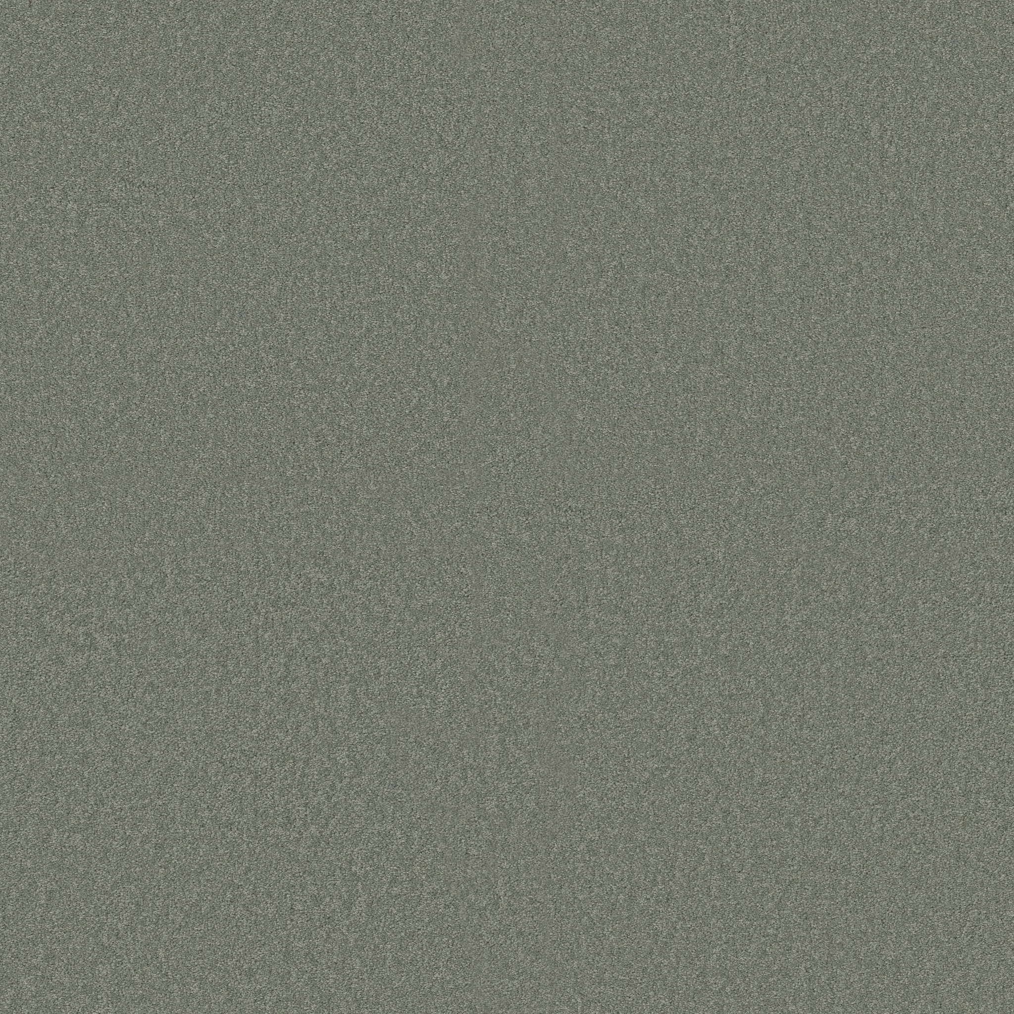 SANDY HOLLOW CLASSIC IV 15' TROPICAL SURF MAIN