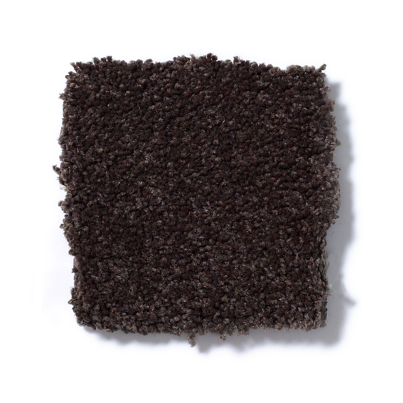 MAGIC AT LAST I 12' DARK CHOCOLATE SWATCH