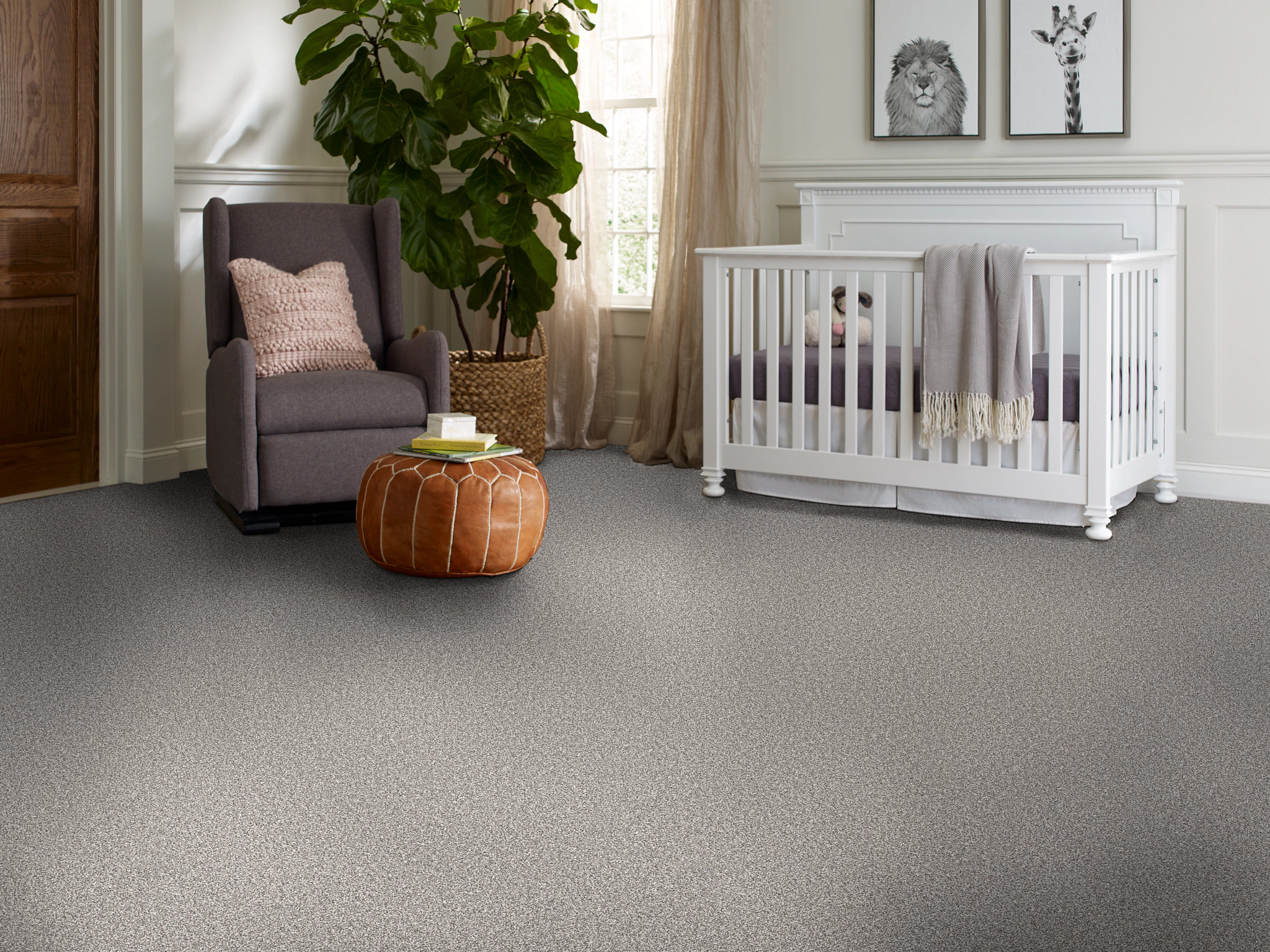 TruSolutionsI-5E647-00506-StormCloud-RM