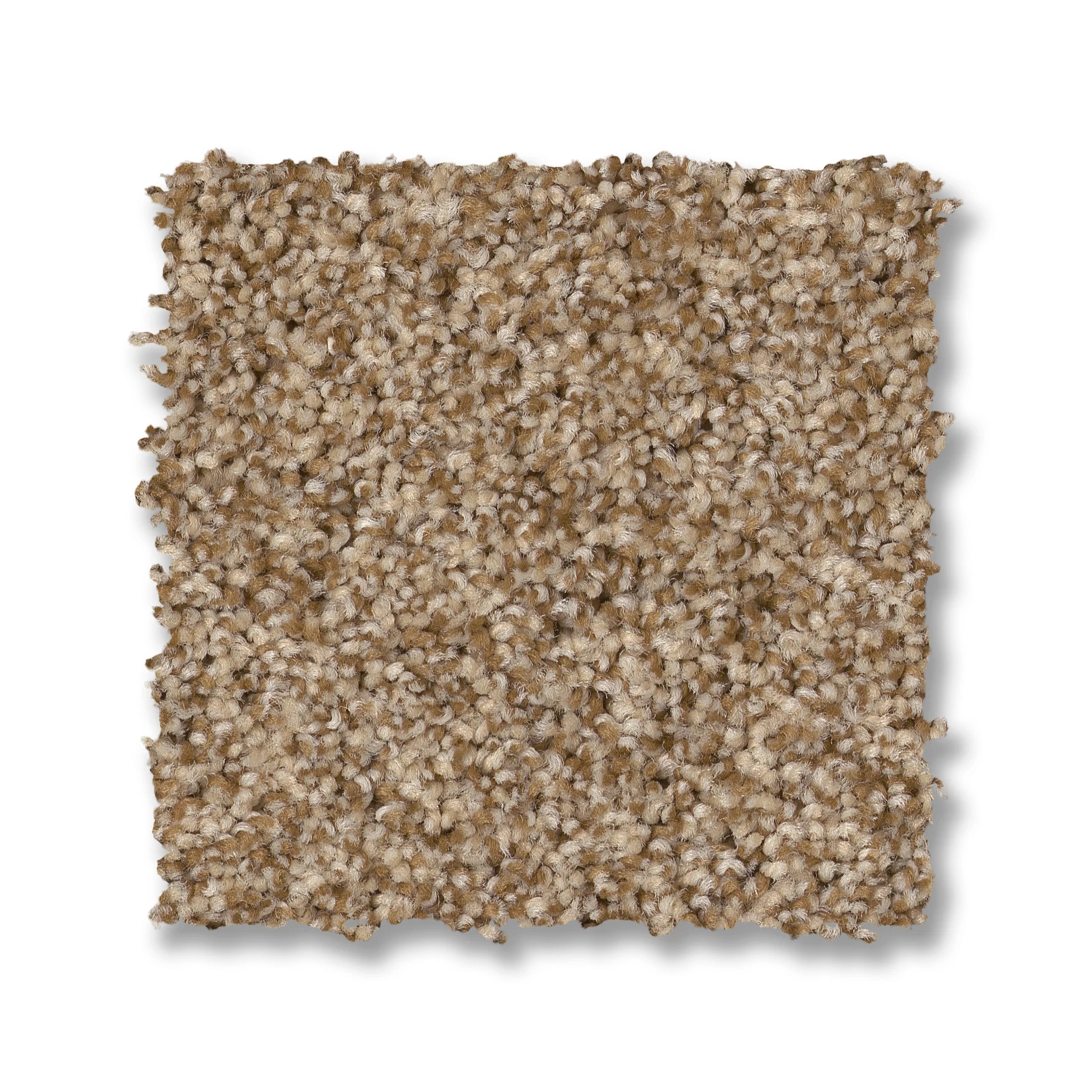 TERRA NOVA HAZEL SWATCH