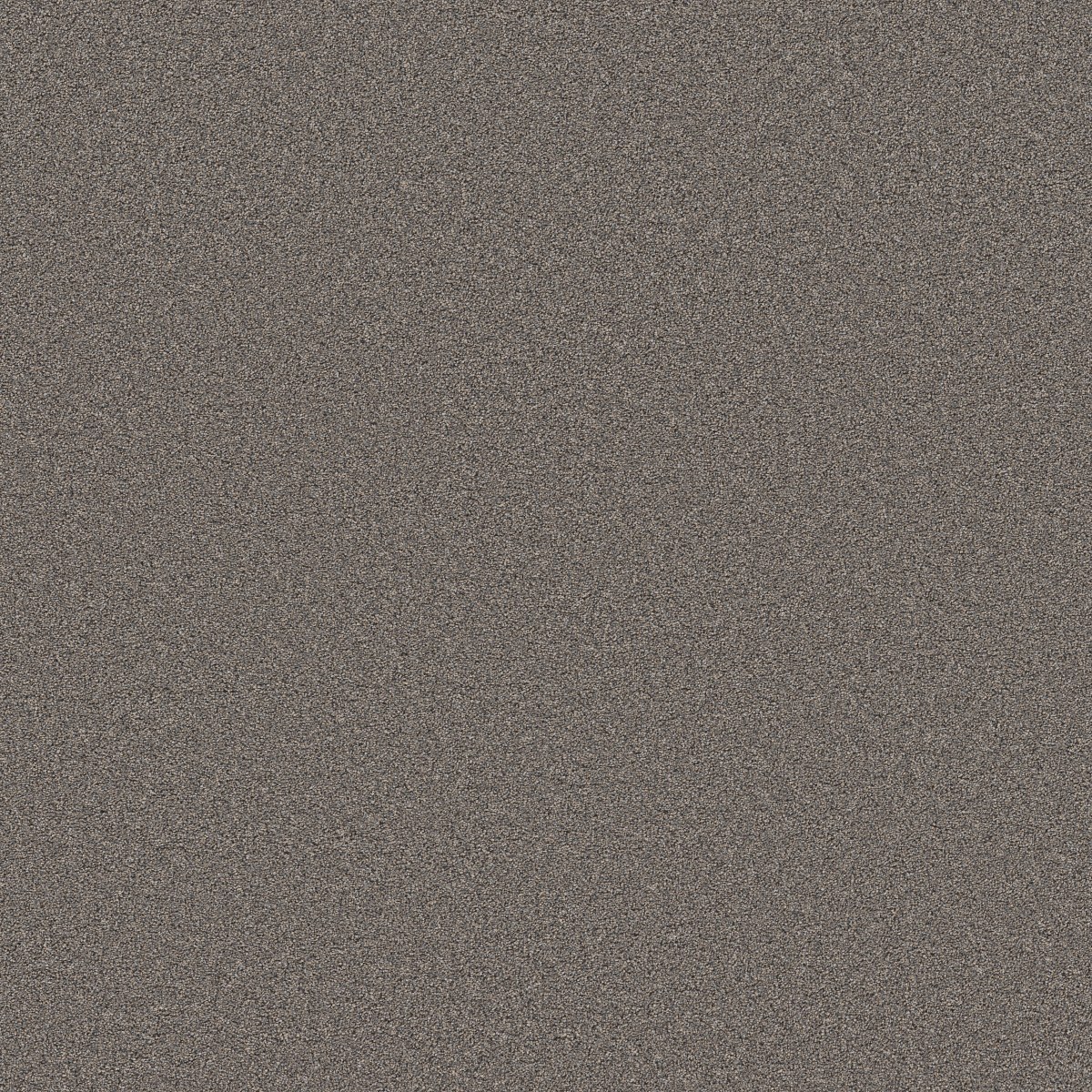 BLENDED TOUCH II — BALTIC BROWN