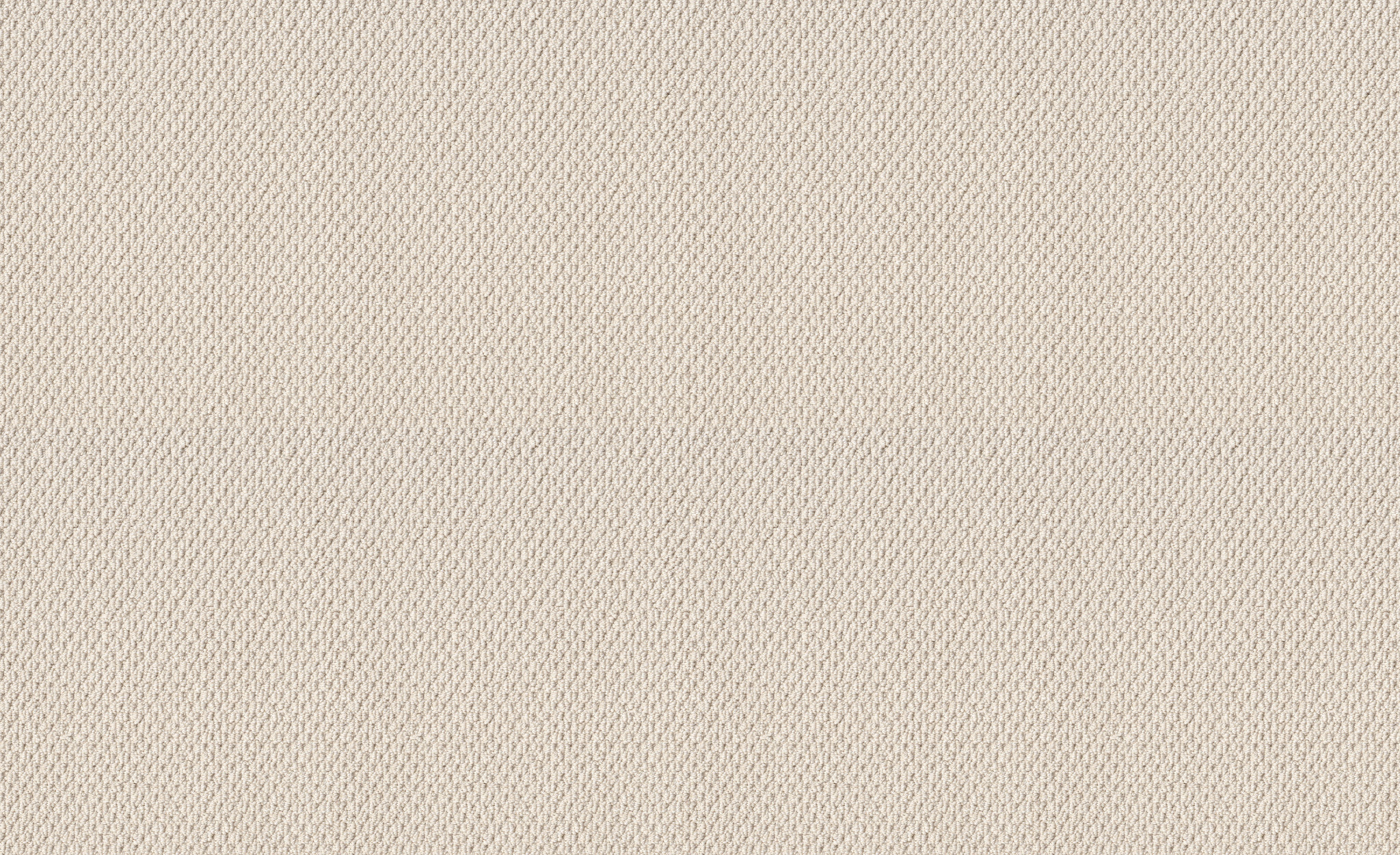 NATURALISTIC CHAMPAGNE TOAST MAIN