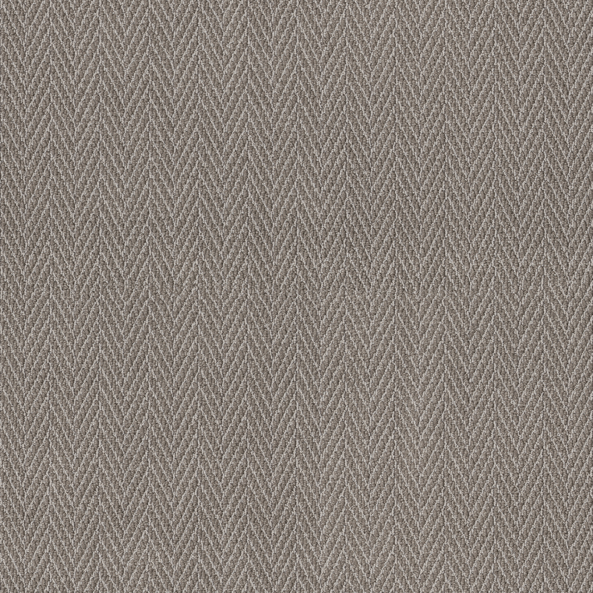 ALWAYS NATURAL SHADY MAIN