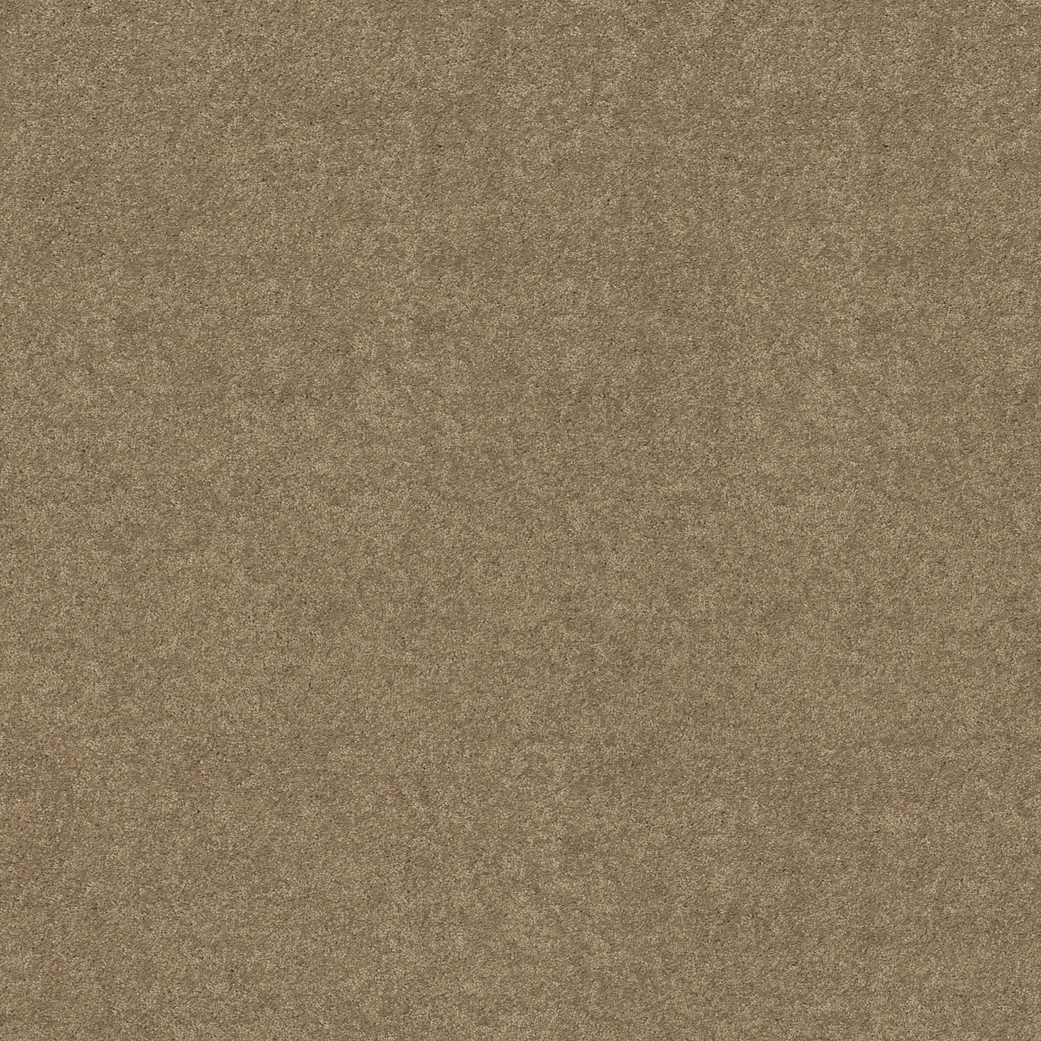 Newbern Classic 12' in Fossil