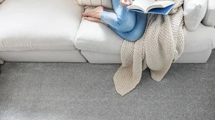 Soft Gray Carpet Flooring in a Cozy Living Room Scene Cozy living room scene with a woman reading on a light gray sofa, featuring soft gray carpet flooring