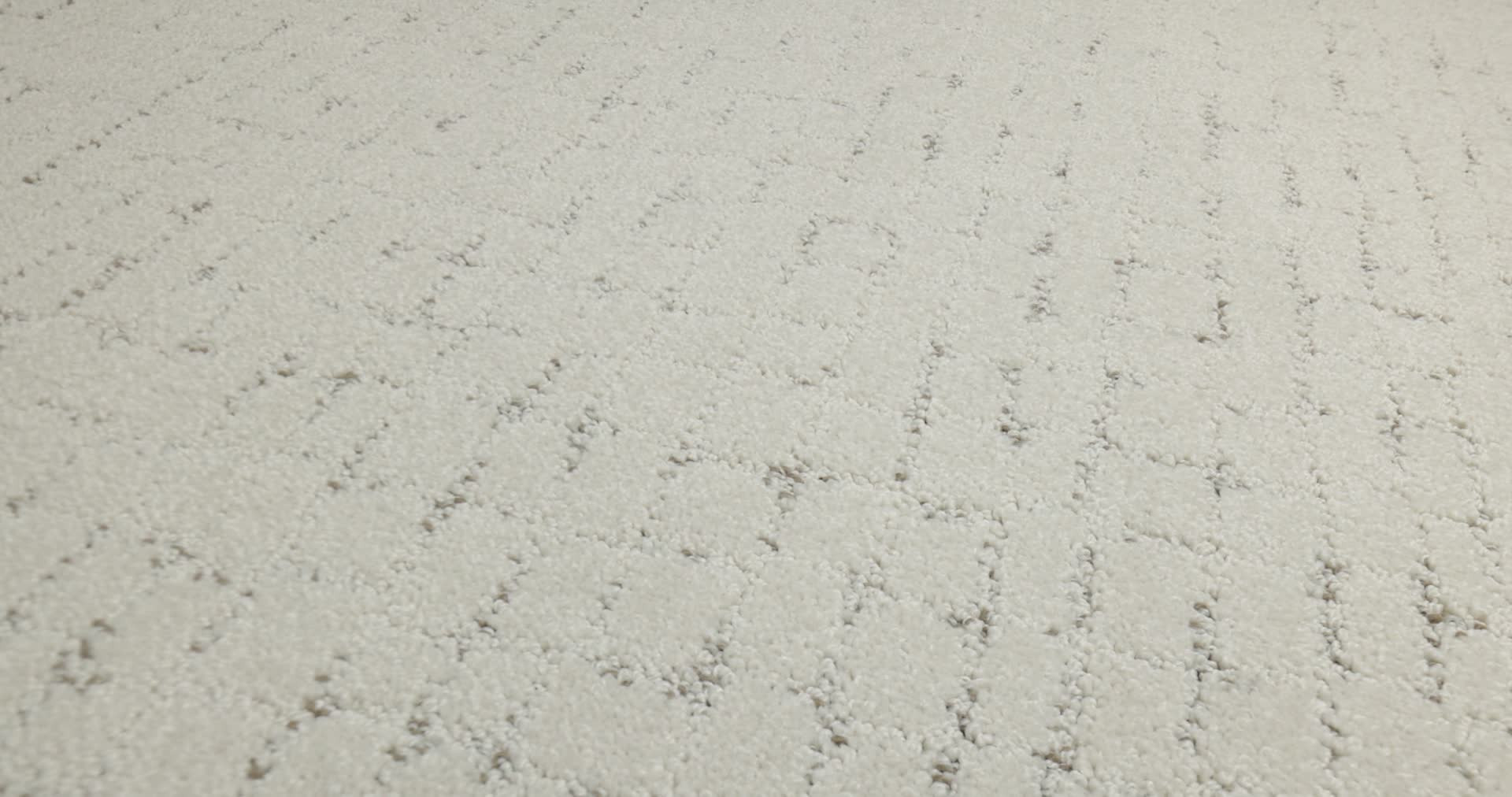 BLOCK PARTY ALMOND SILK 360PROD