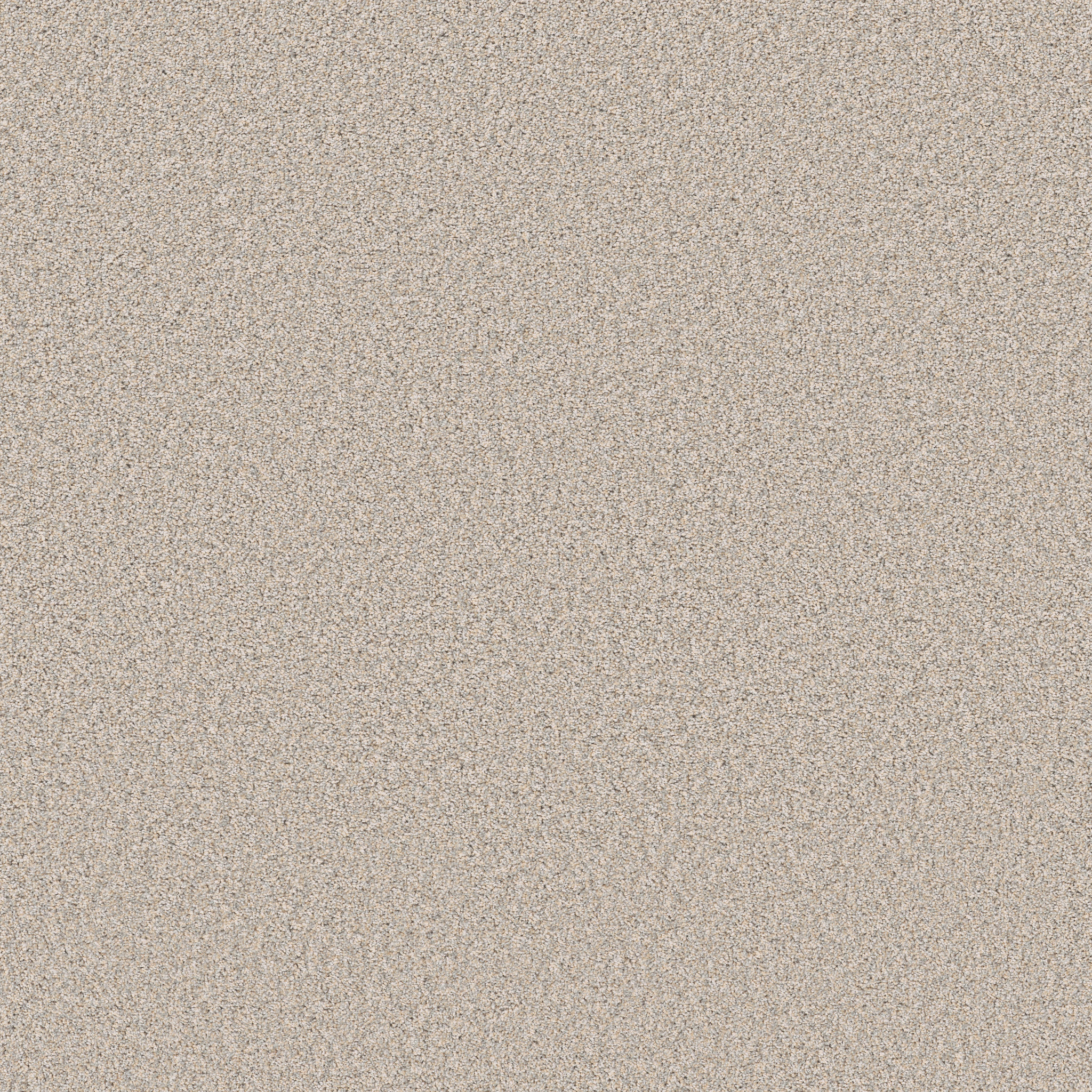 REFINED BEAUTY NUANCE MAIN