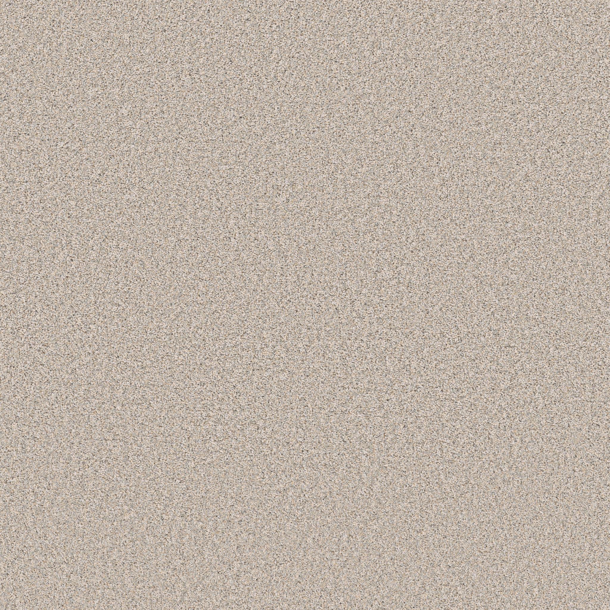 Refined Beauty in Nuance
