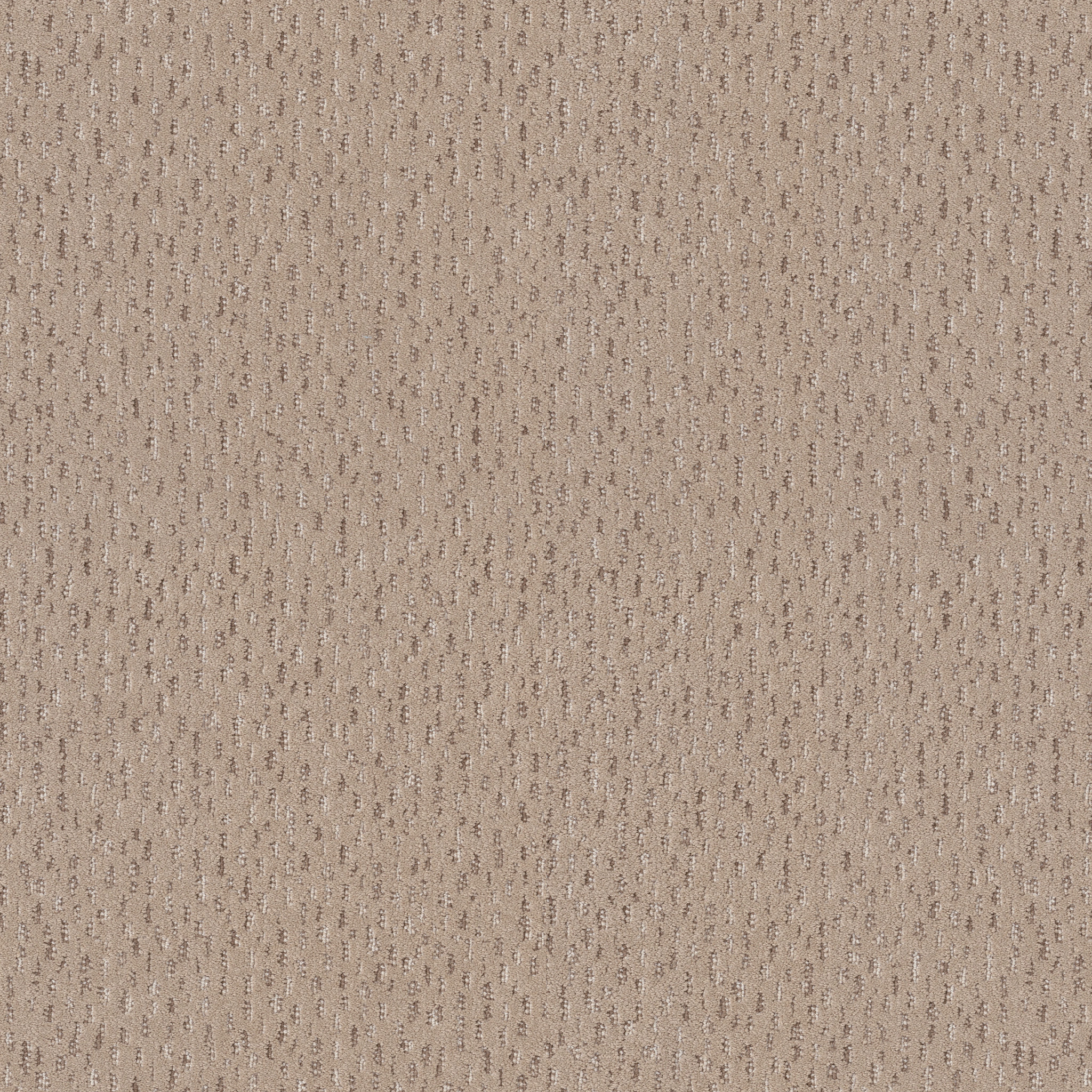 AMBITIOUS FRESH BREAD MAIN