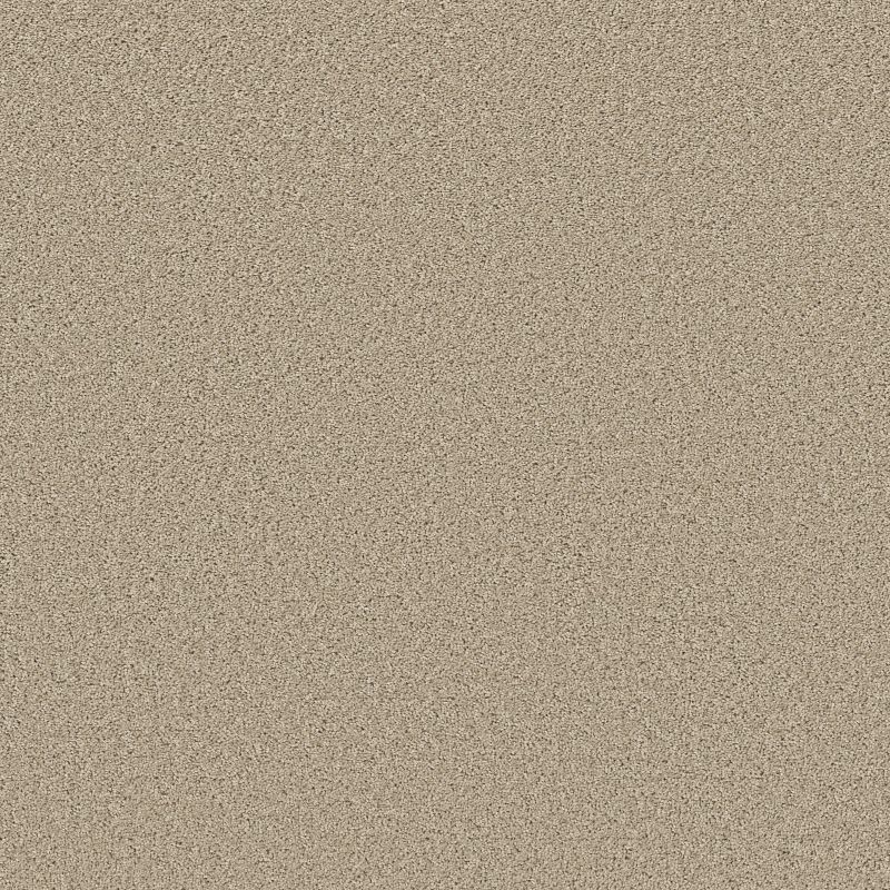 High Ranking's 5E796 Broadloom Carpet in Paradise color, 12ft wide, made of 100% polyester
