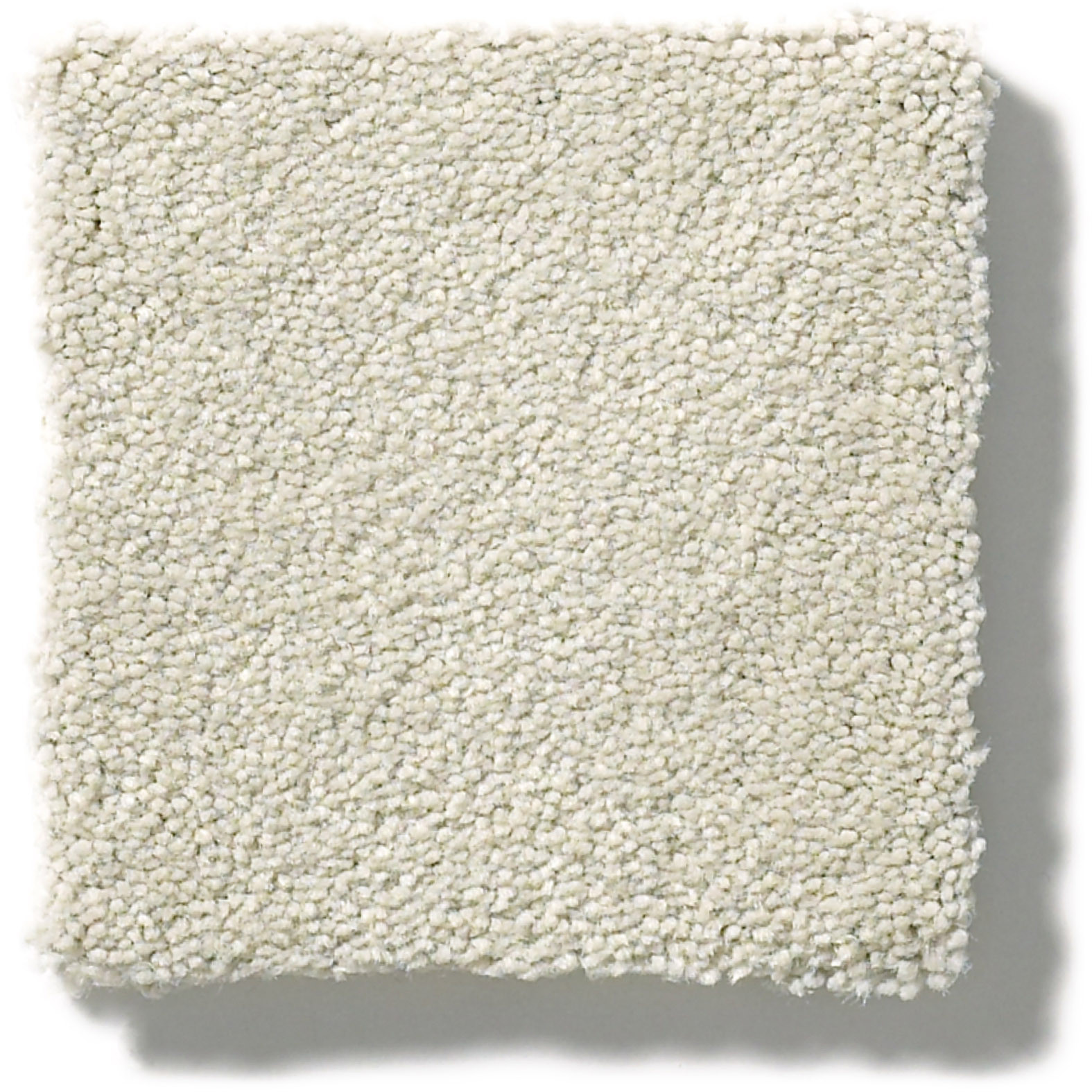 PERFECT CHOICE PLATINUM SWATCH