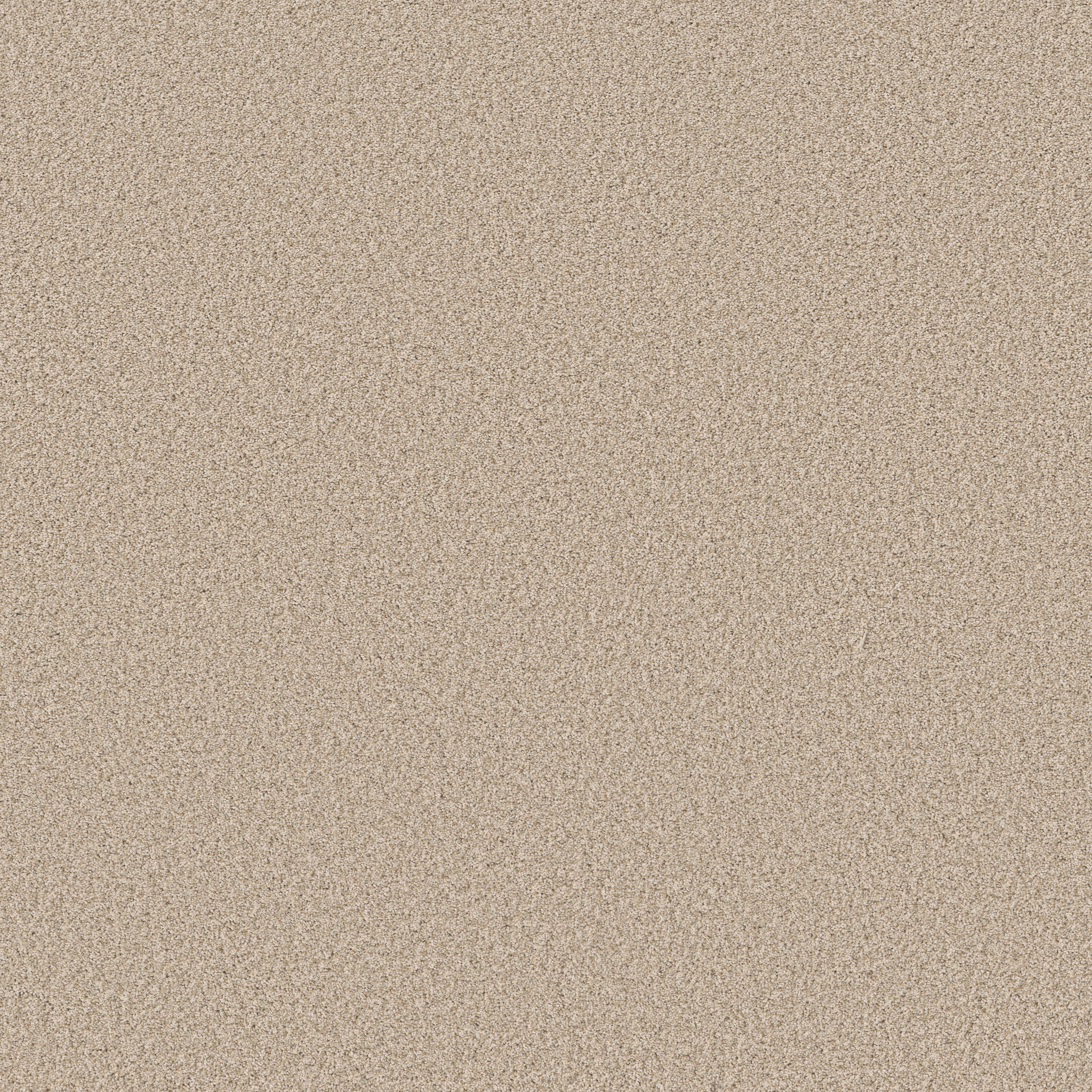 FABULOUS WINDSWEPT MAIN