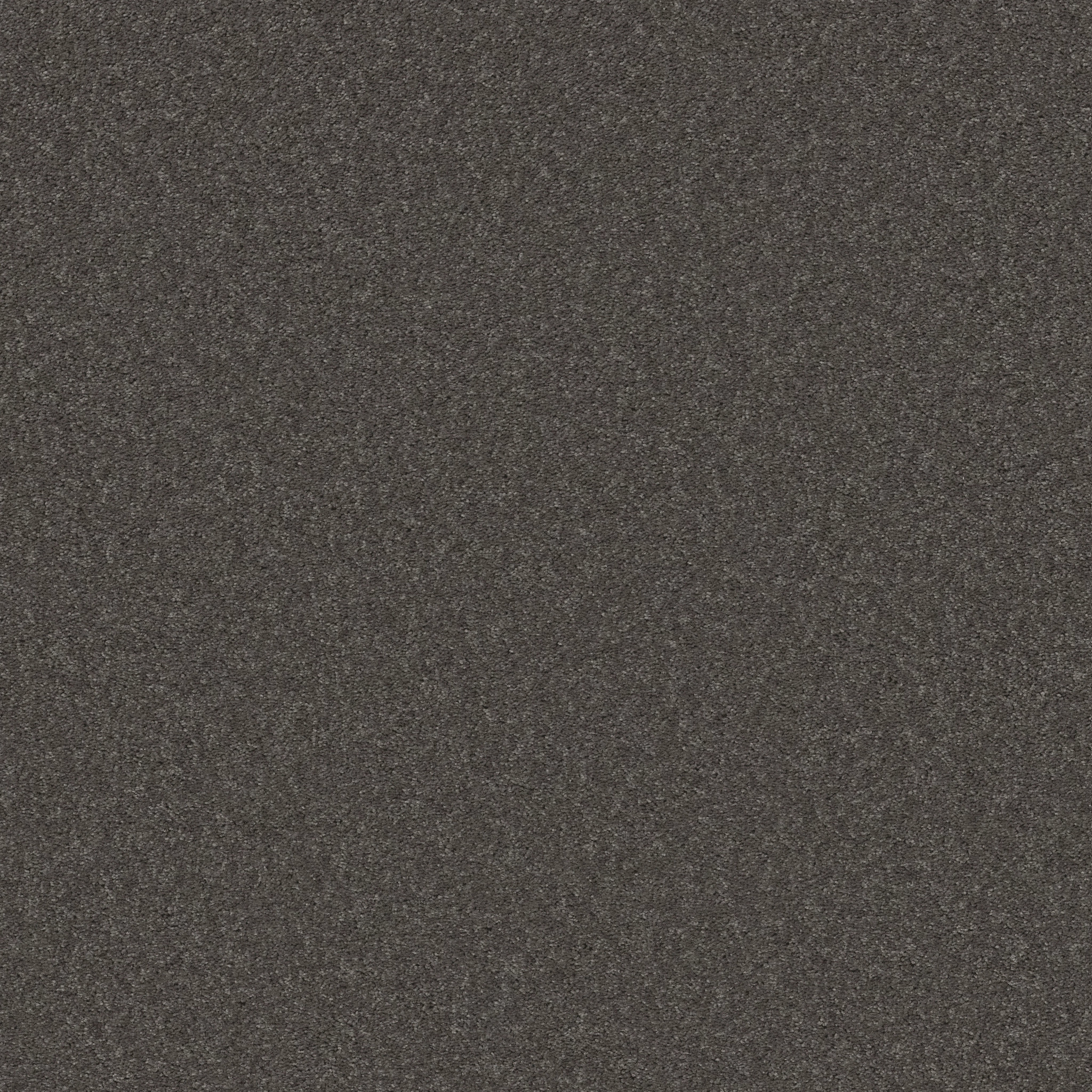 LOOK FORWARD MARBLE GRAY MAIN