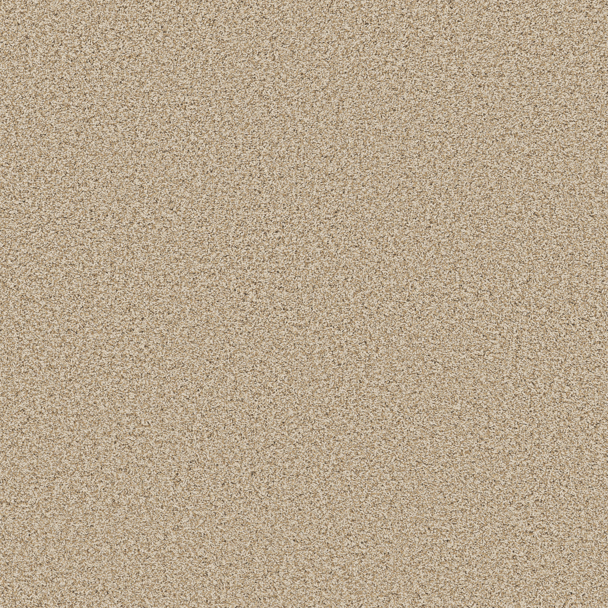 BOSSA NOVA BEACH GRASS MAIN