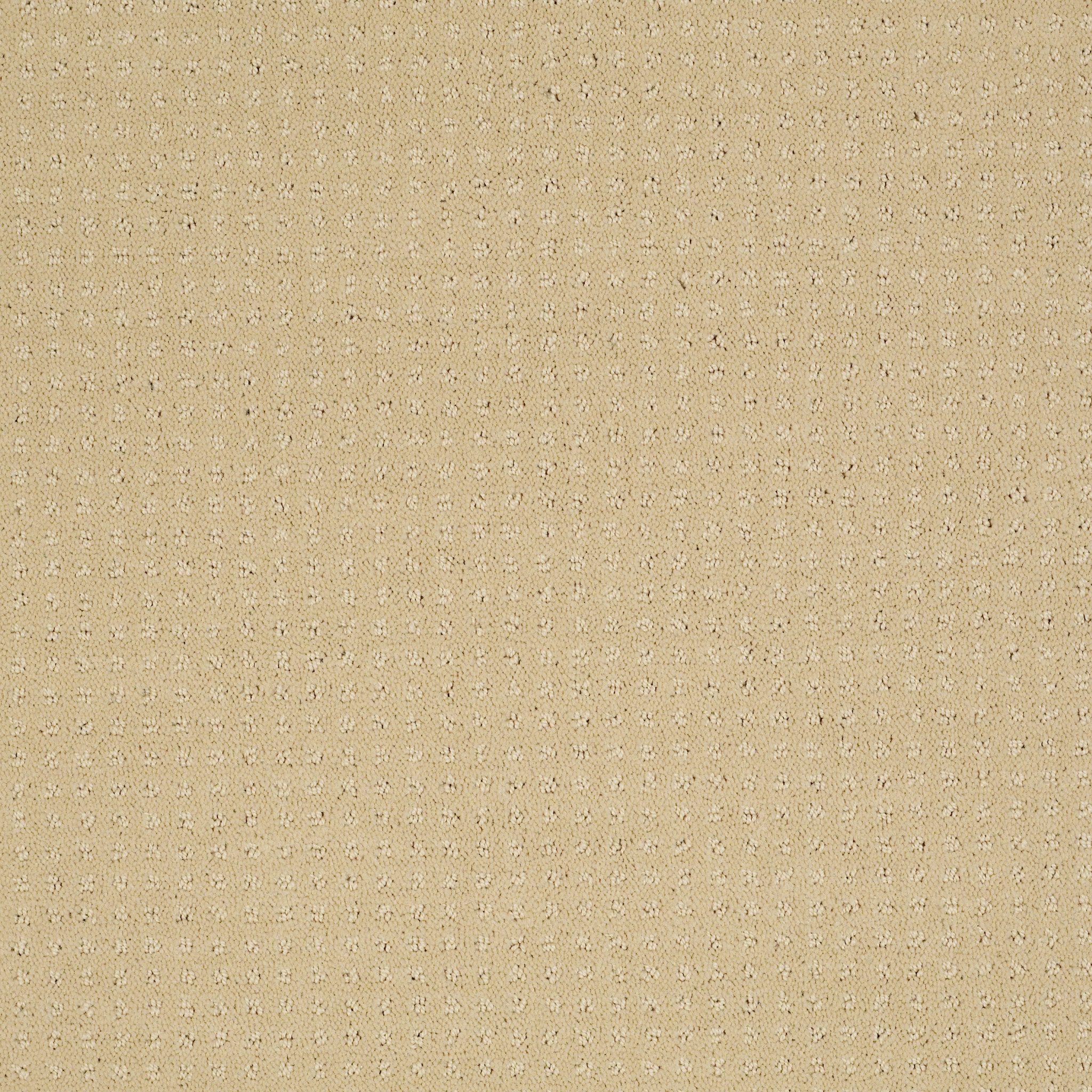 ENDURING COMFORT PATTERN CHAMOIS MAIN