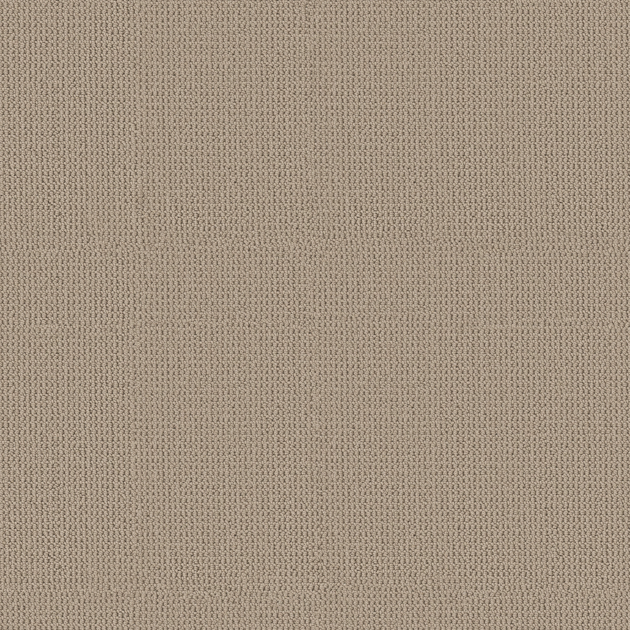 ARDEN PARK SANDSTORM MAIN