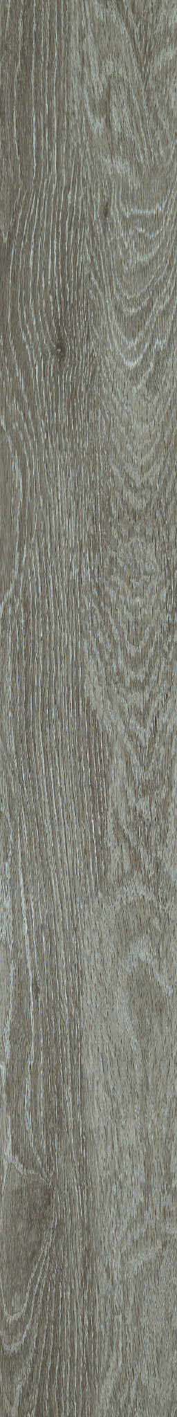 IN-THE-GRAIN-II-5.0-5603V-MILO-00572-main-image