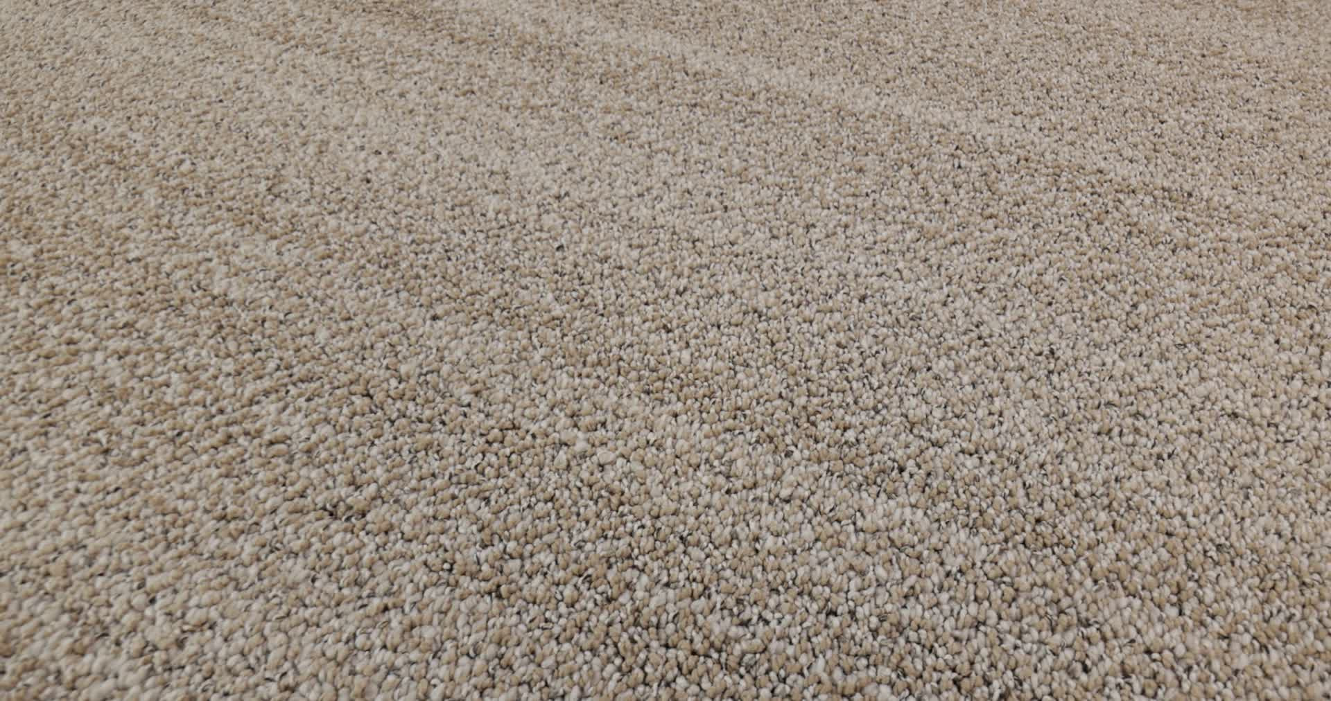 IN TEMPO ALMOND 360PROD