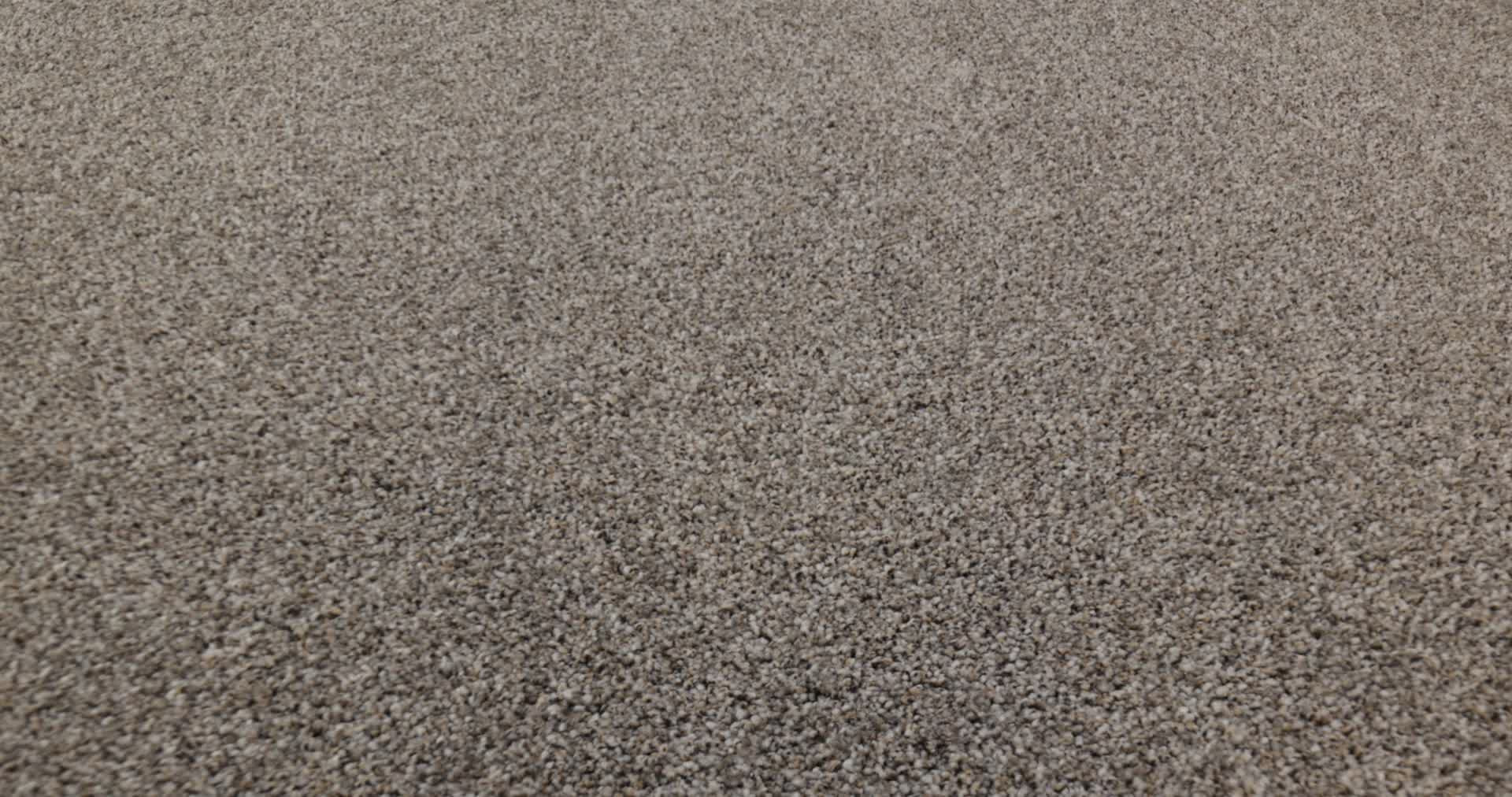 WONDERLAND III 12' PIER 360PROD