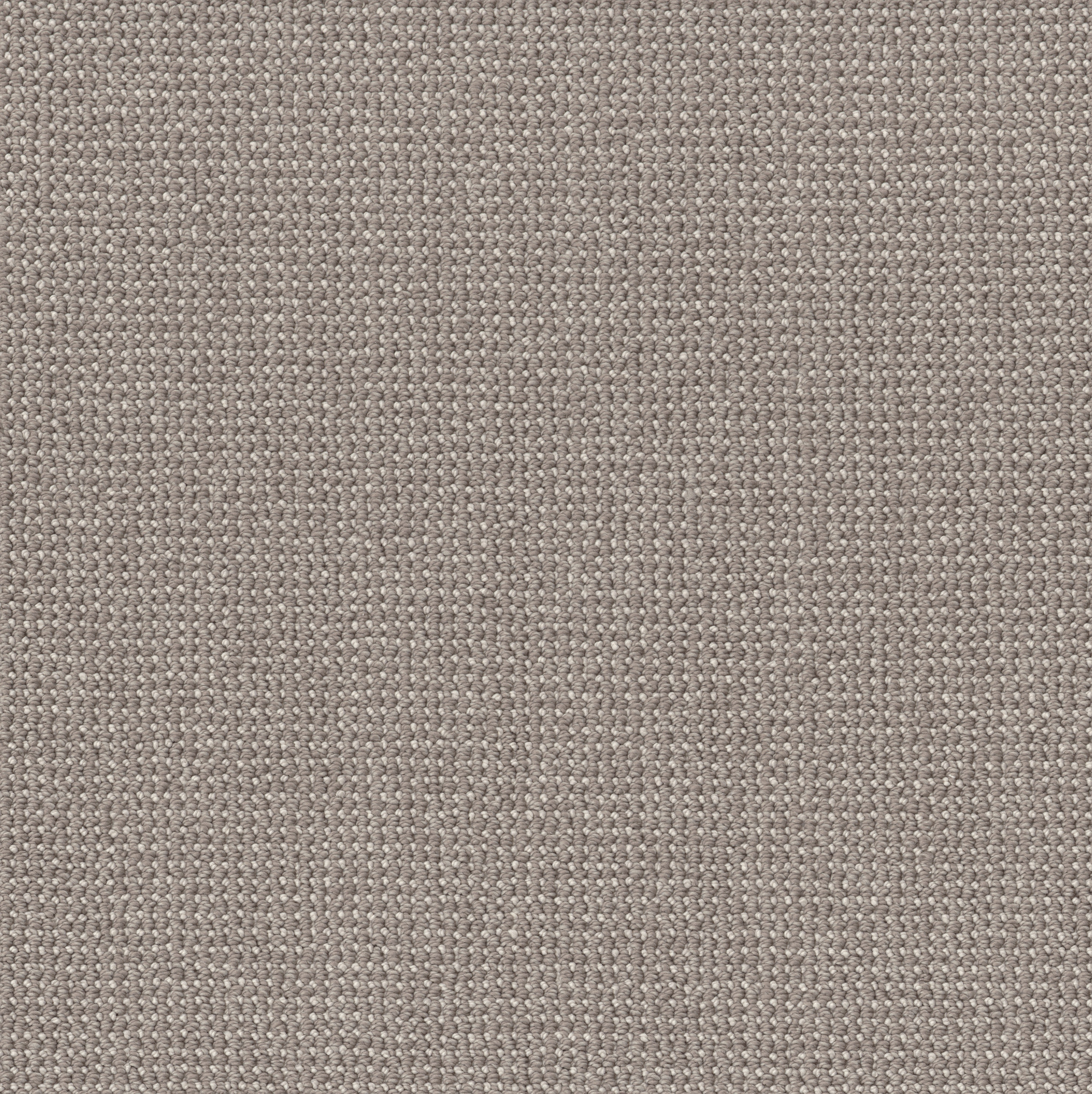 PURRFECTION METROPOLIS MAIN