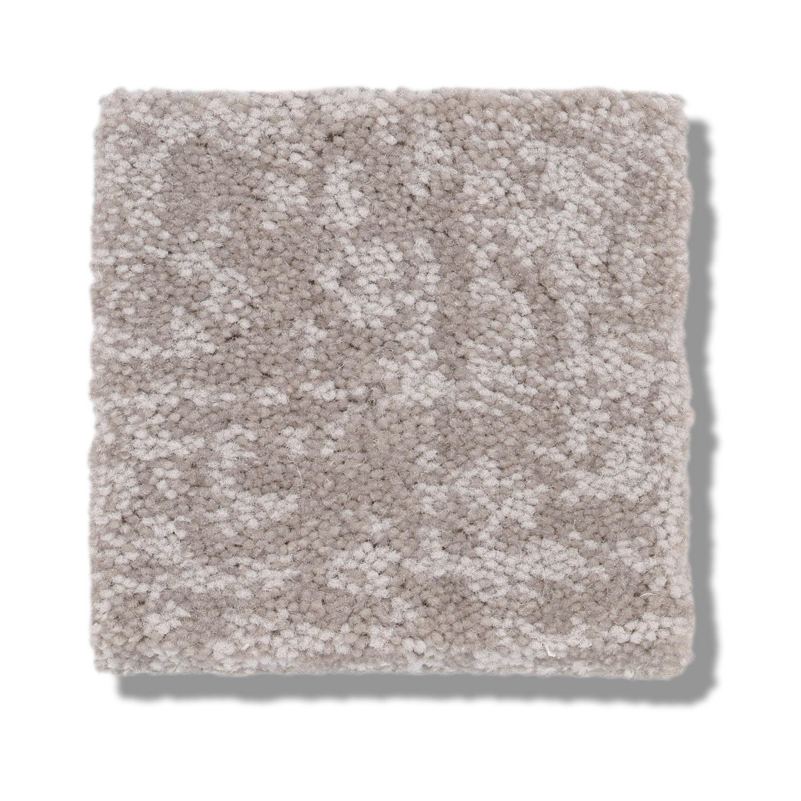 FINE STRUCTURE COLD WINTER SWATCH