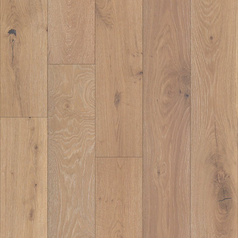 ARGONNE FOREST OAK in Tapestry by Shaw Floors
