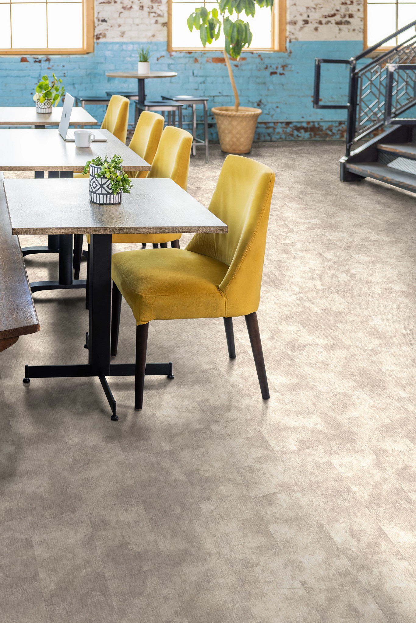 CODEX-5609V-REVERIE-01132-room-image