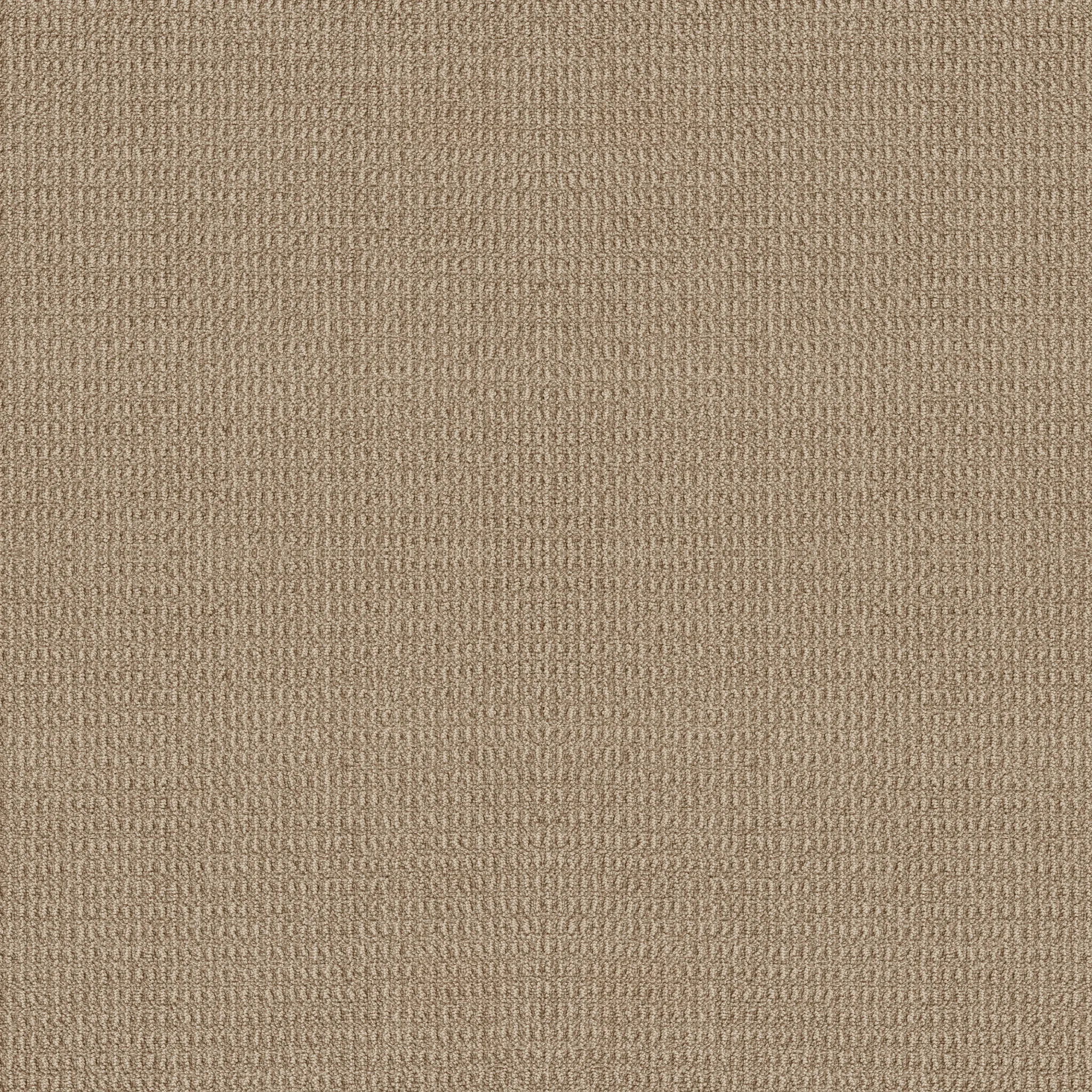 Beige carpet swatch with textured pattern