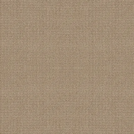 Beige Textured Carpet Swatch Beige carpet swatch with textured pattern