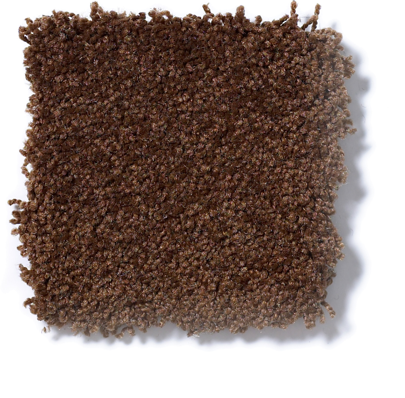 SHINGLE CREEK IV 12' TORTOISE SHELL SWATCH