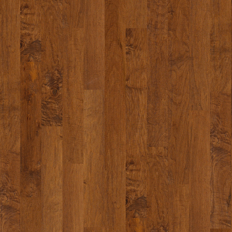 CORAL SPRINGS in Surfside by Shaw Floors