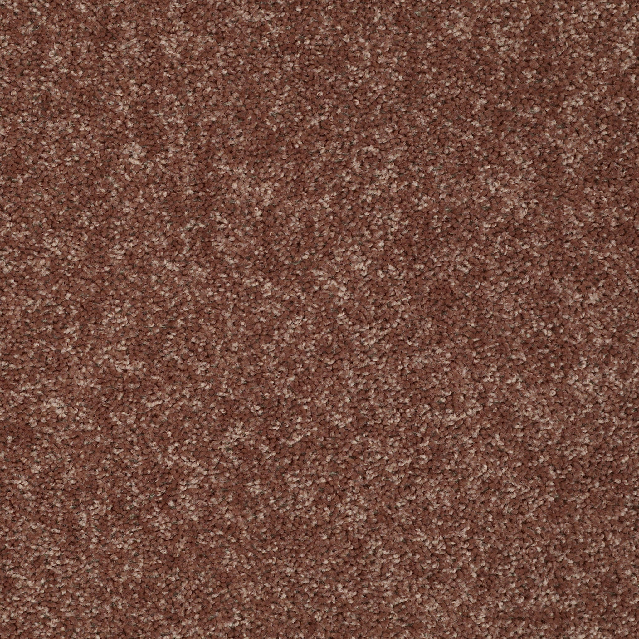 BRICEVILLE CLASSIC 15 WINTER WHEAT MAIN