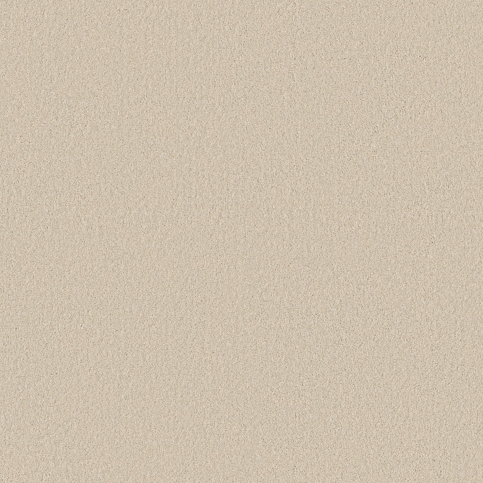 CLASSIC TONE BAJA MAIN