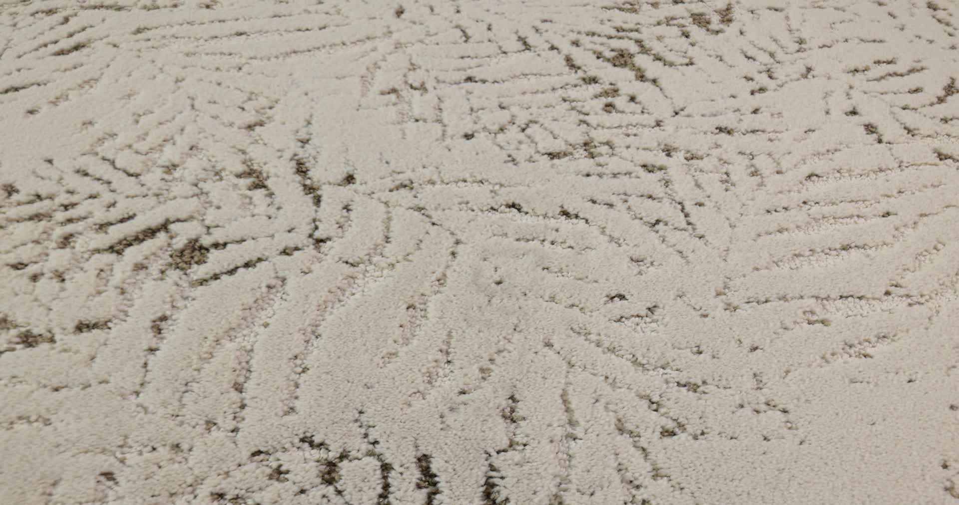 AUTOGRAPH SPECIAL OCCASION 360PROD