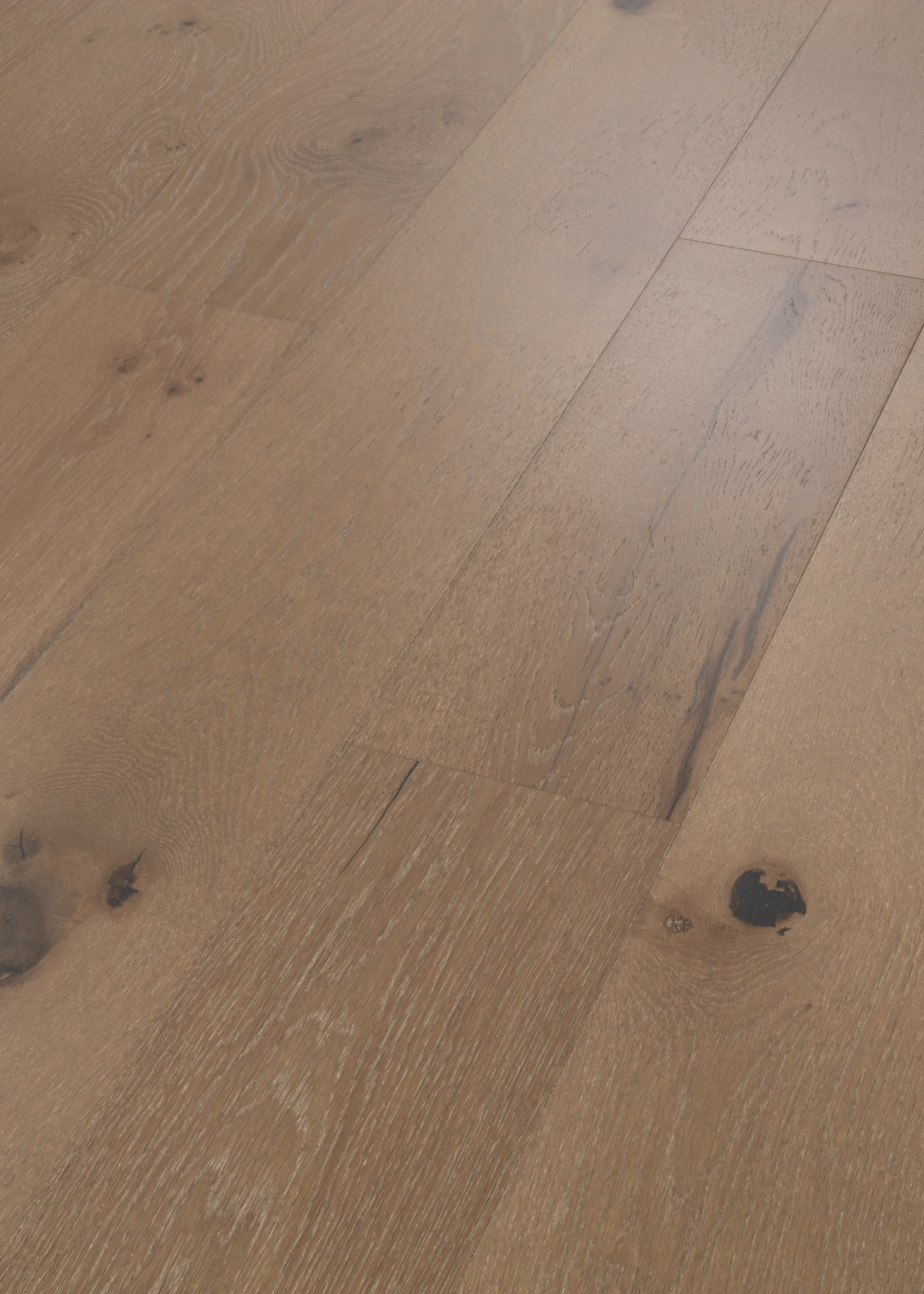 CONFECTION TIRAMISU ANGLED