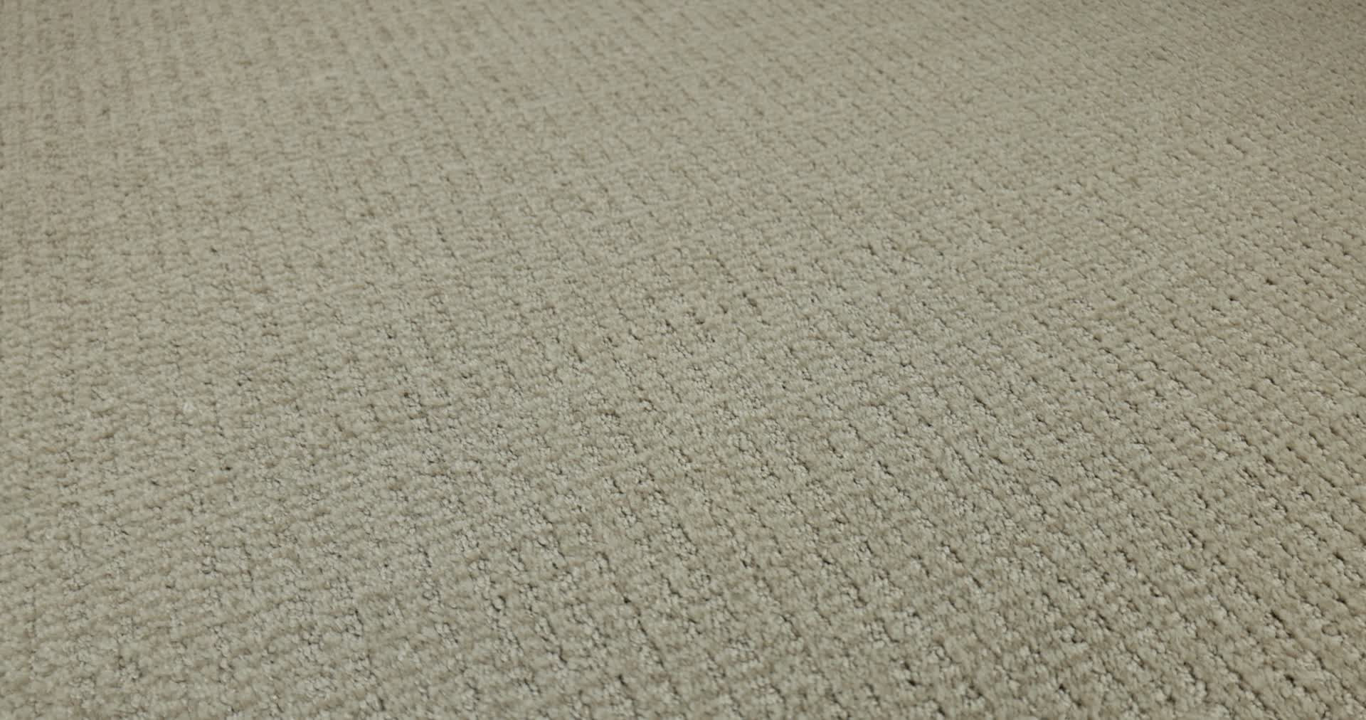 SENSIBLE NOW PARK AVENUE 360PROD