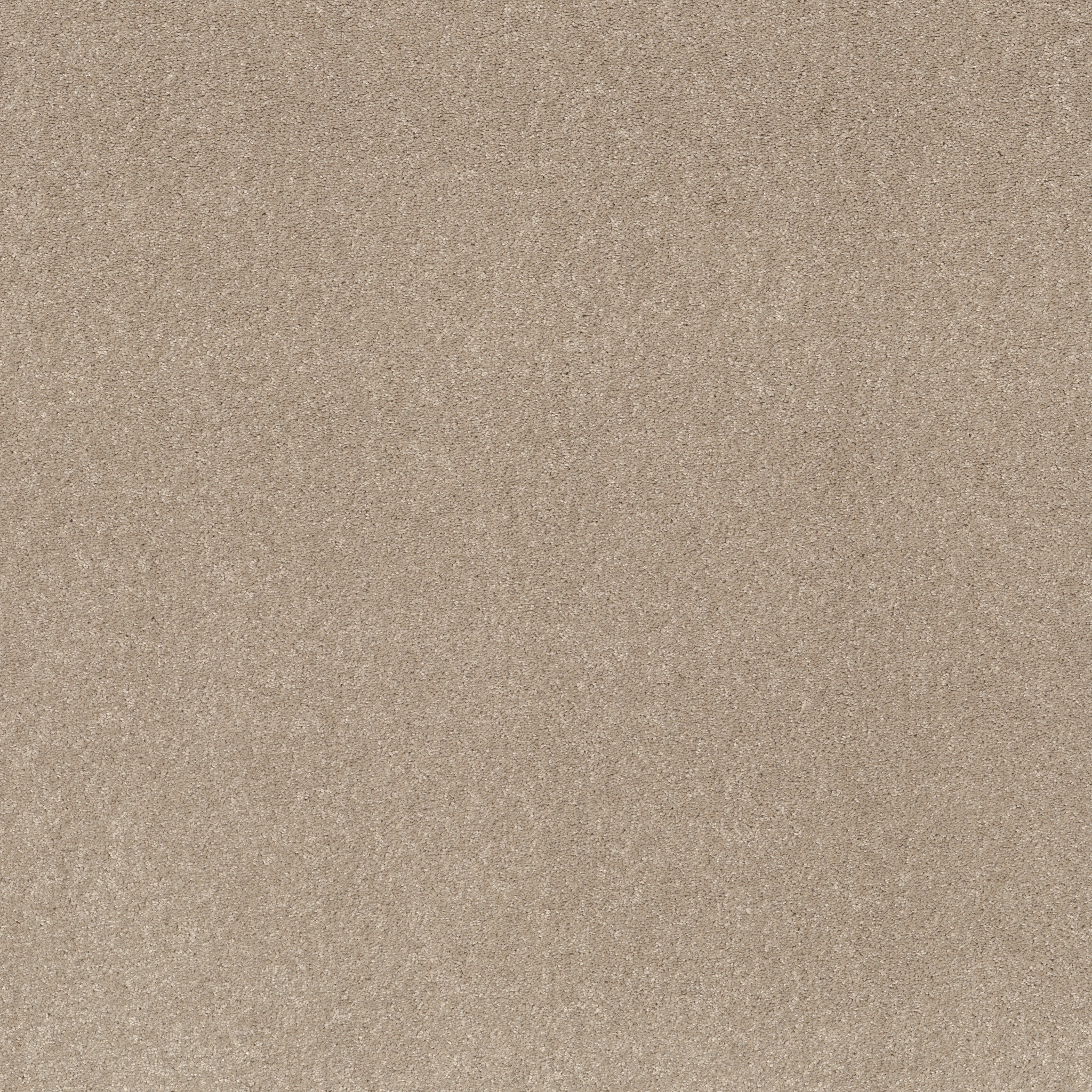 SMOOTH TALK I TASSEL MAIN