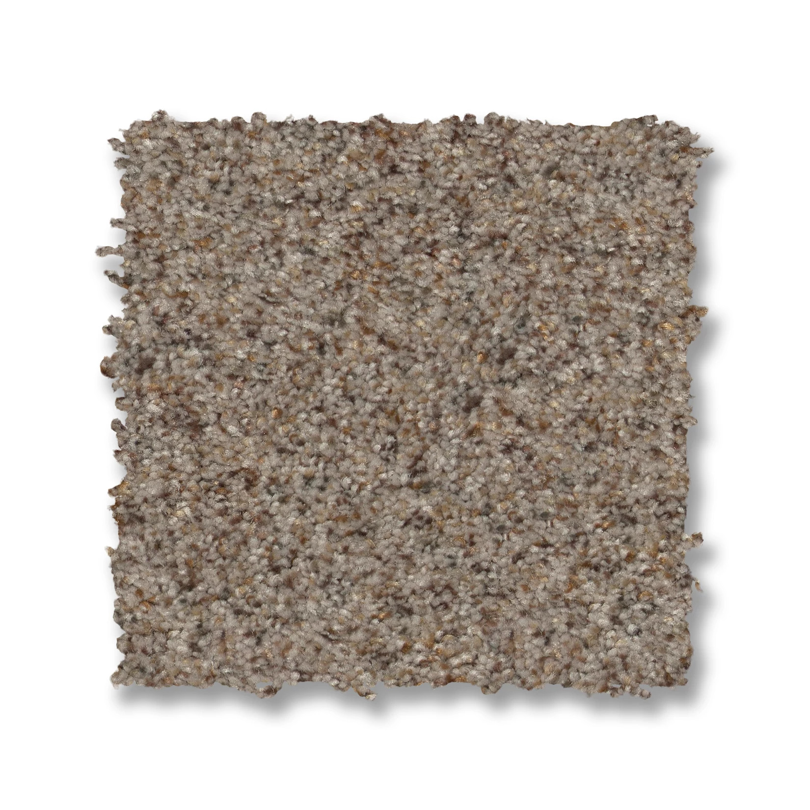 CANYON LAKE MESA TAUPE SWATCH