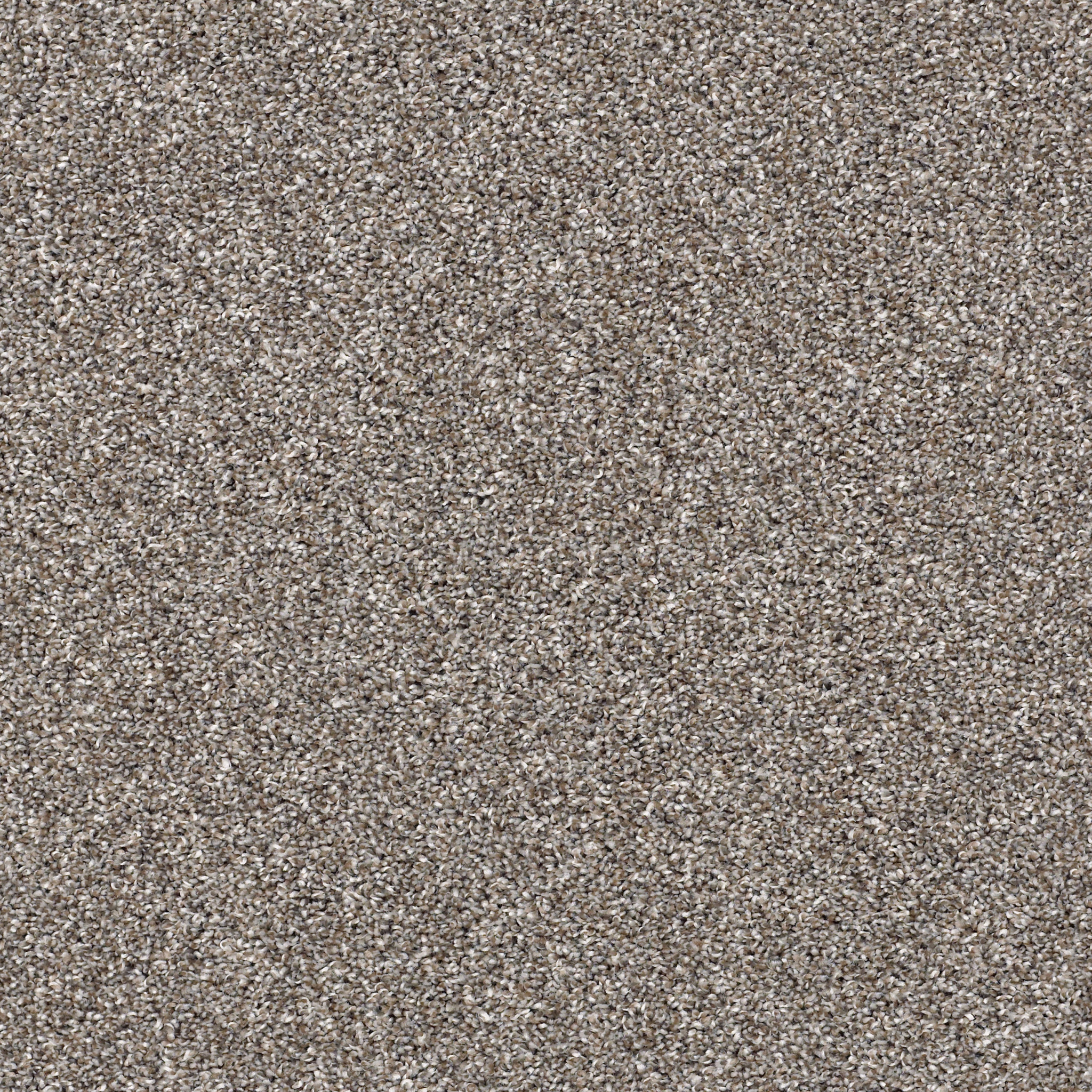 AFTER IT II TREE HOUSE MAIN