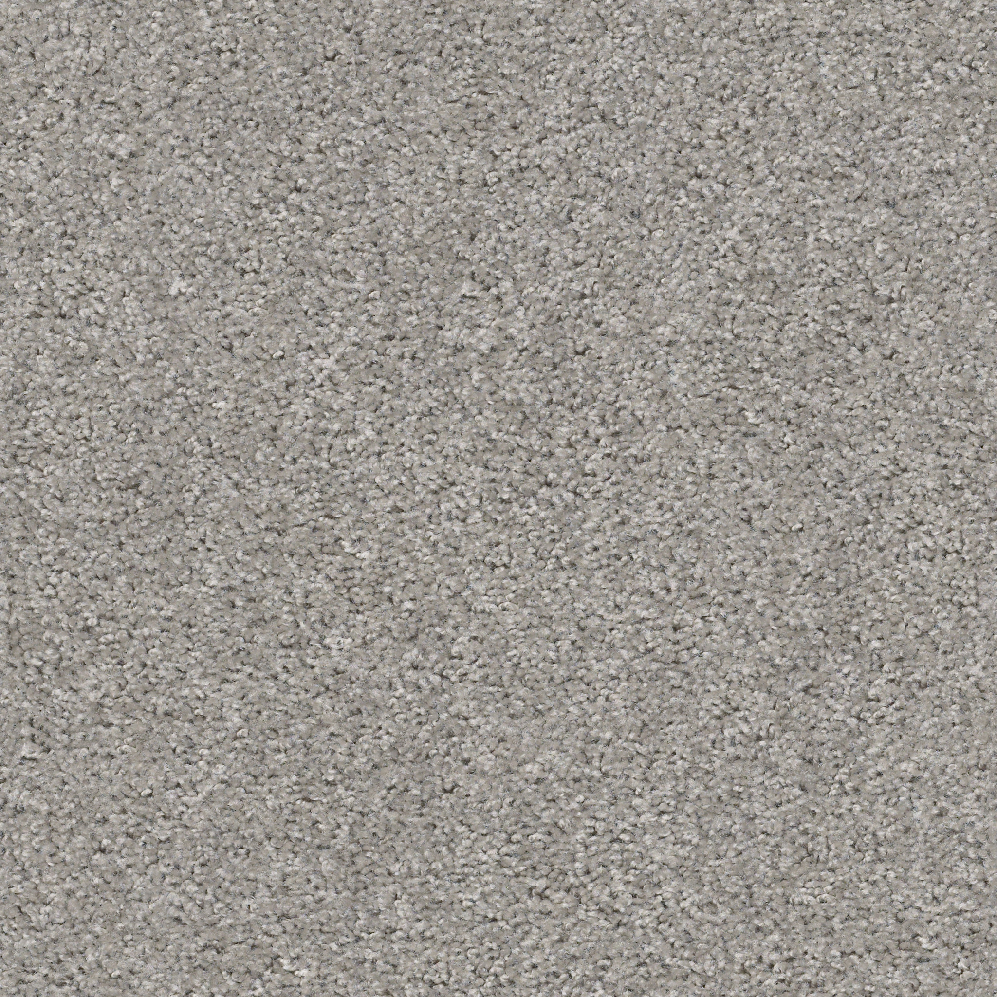 VALIANT RAINDANCE MAIN