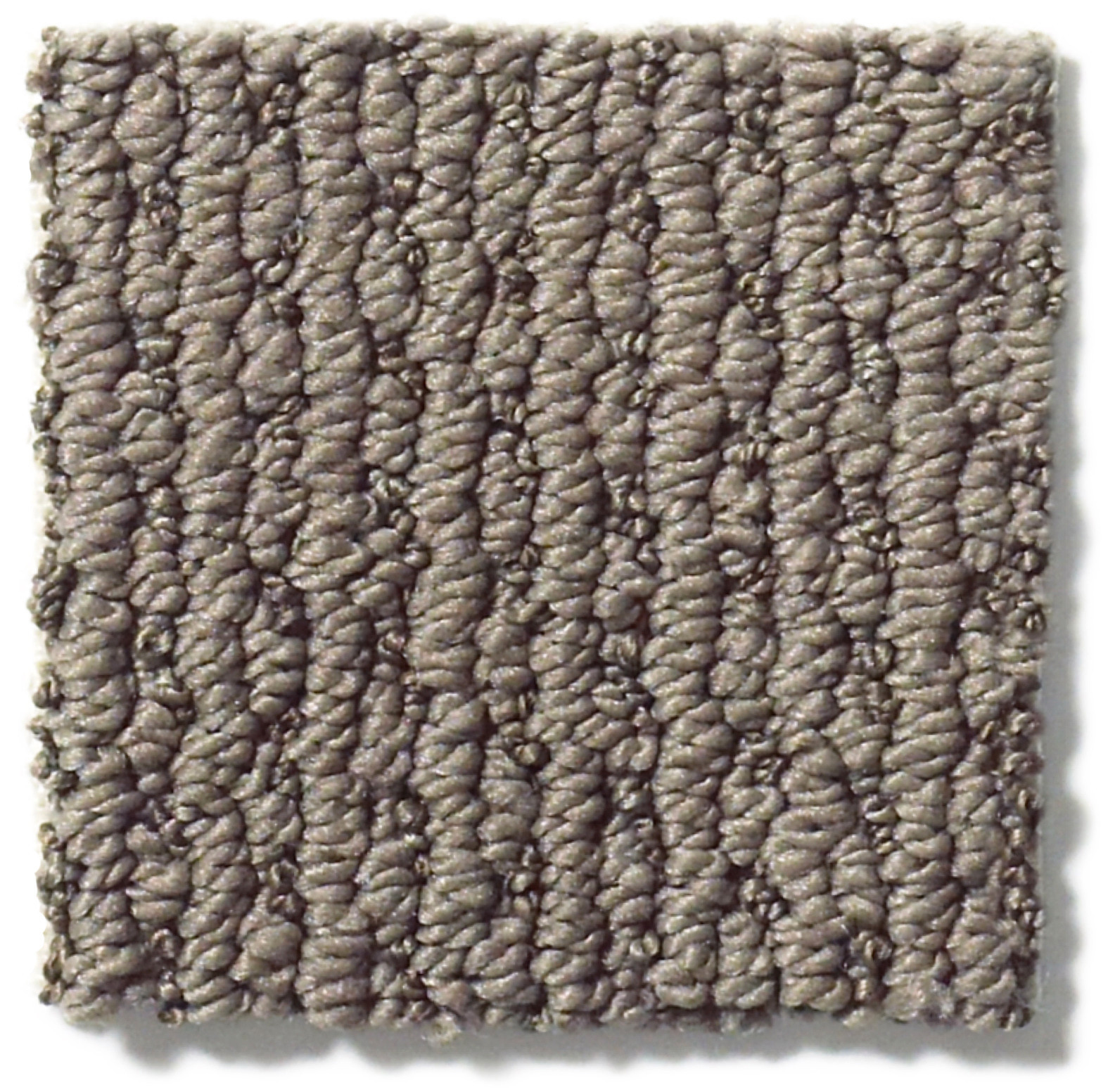 CHAPEL RIDGE SIMPLY TAUPE SWATCH