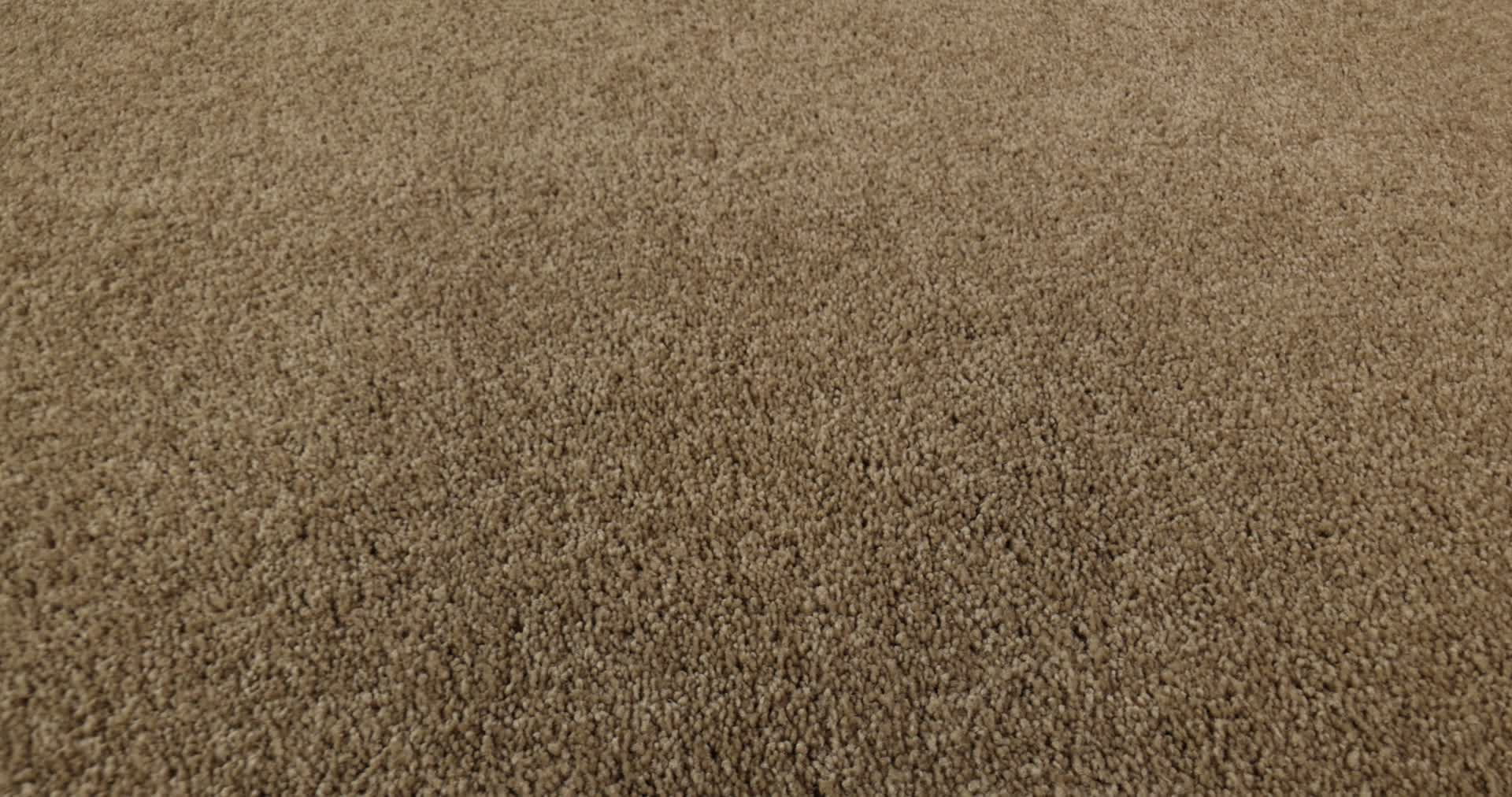 LOOK FORWARD BRIDGEWATER TAN 360PROD