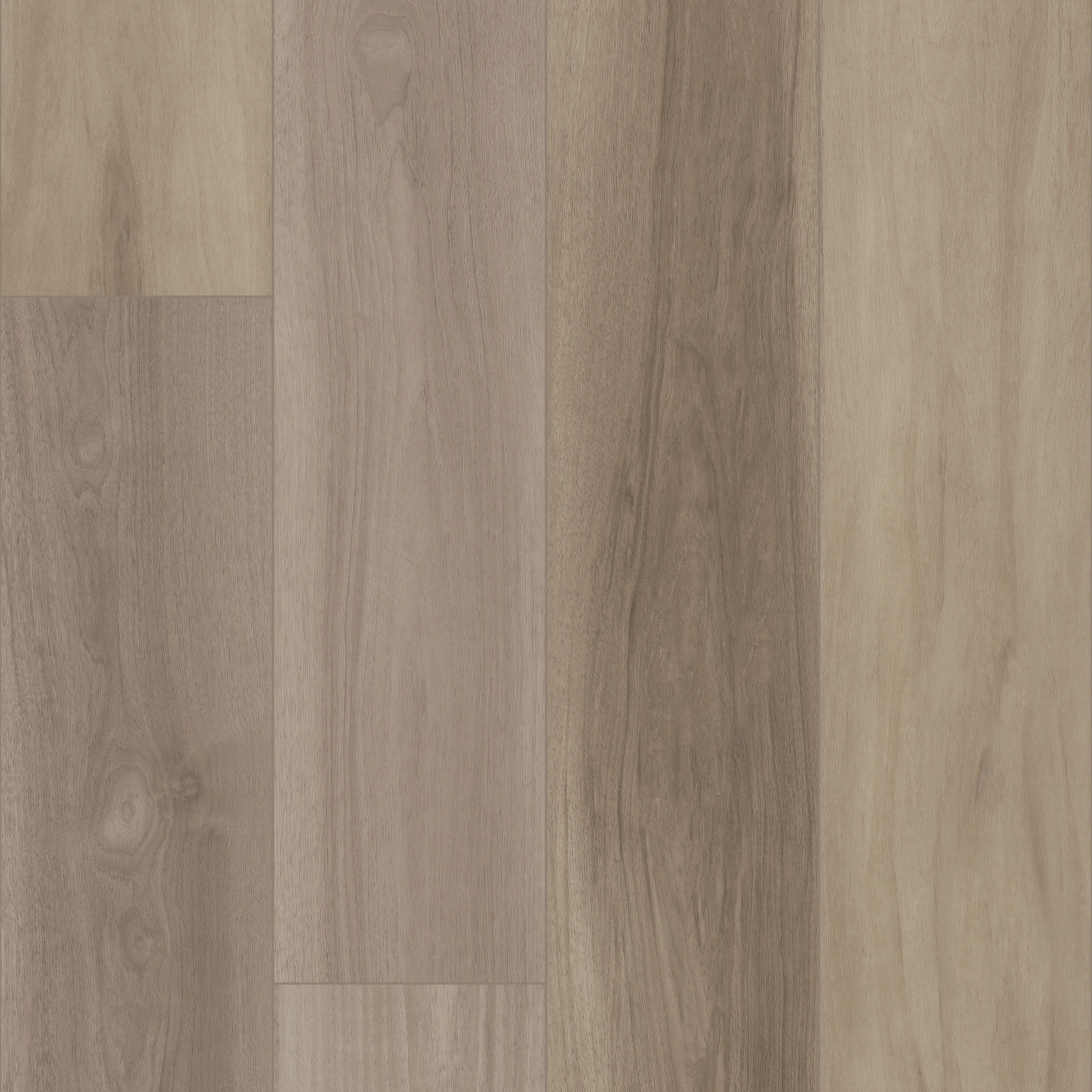 Titan Hd Plus Platinum - in Renewed Hickory | Shaw Floors
